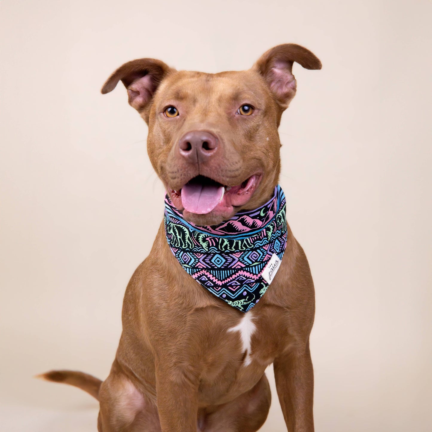 Wild Dog Bandana