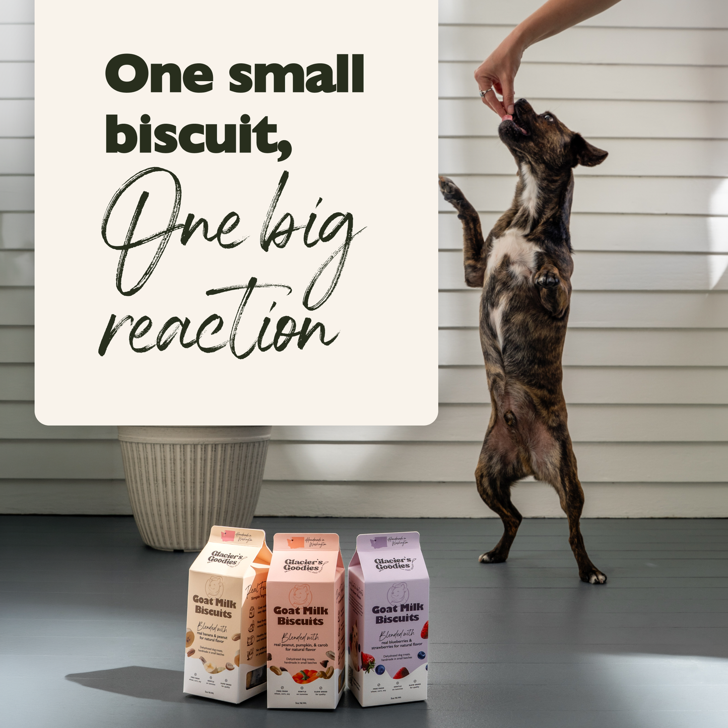 Goat Milk Dog Treats — Blueberry & Strawberry