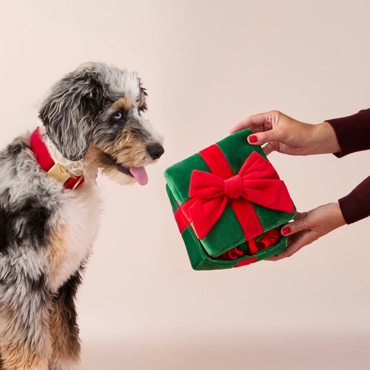 Holiday Present Interactive Snuffle Dog Toy