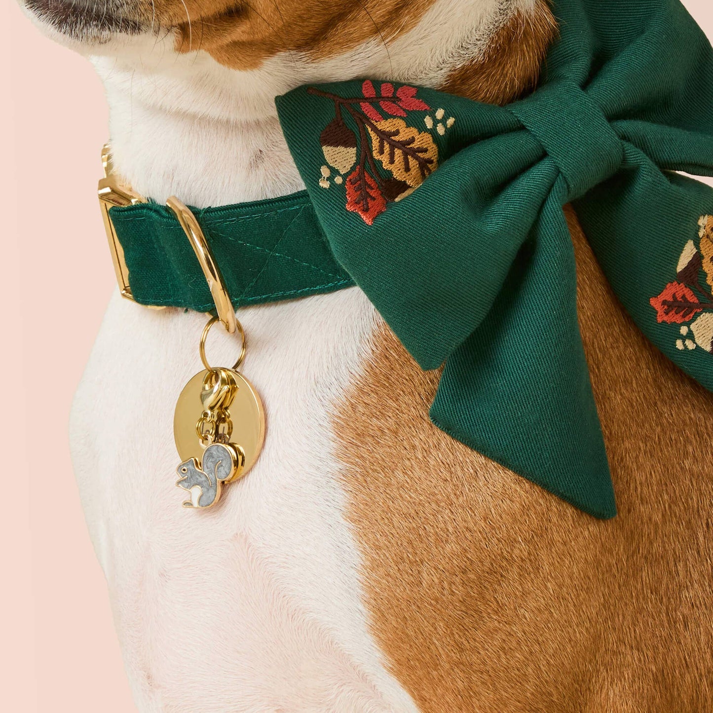 Squirrel Collar Charm