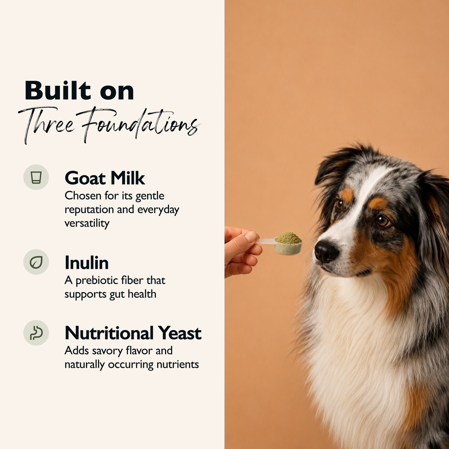 Goat Milk Dog Topper – Parsley & Spinach | Gut-Friendly