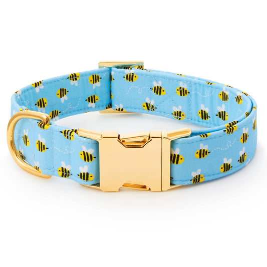 Sweet as Can Bee Dog Collar