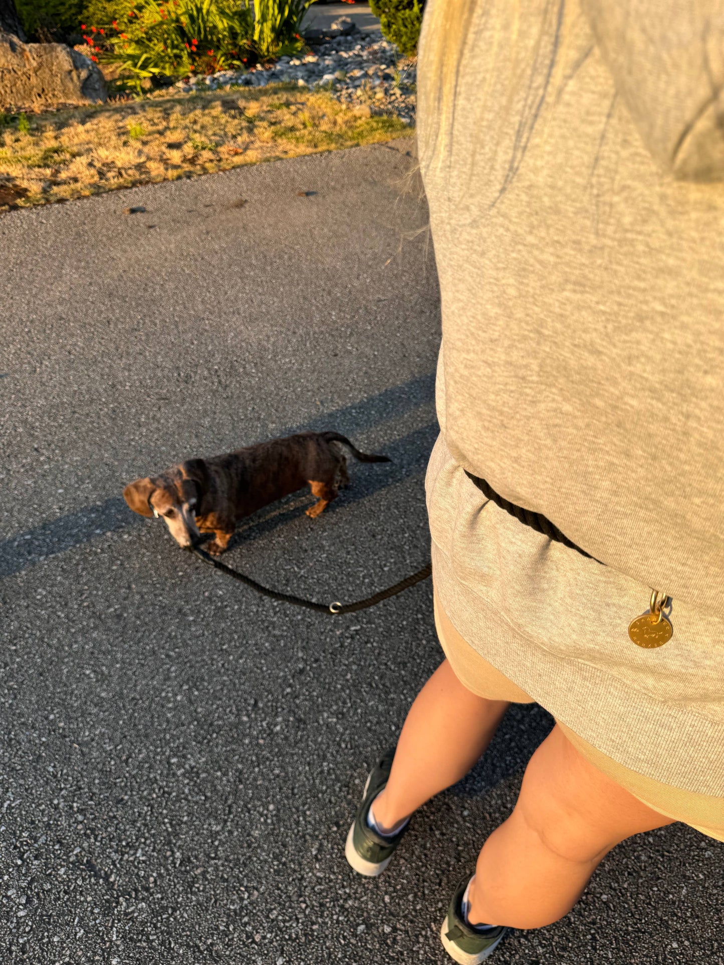Hands Free Cotton Rope Dog Leash
