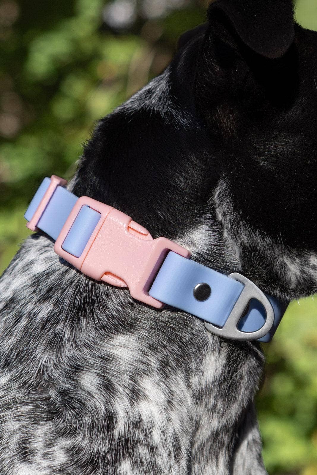 Blue Sky Orchid Waterproof Dog Collar: Periwinkle / Light Pink / 15 - 17