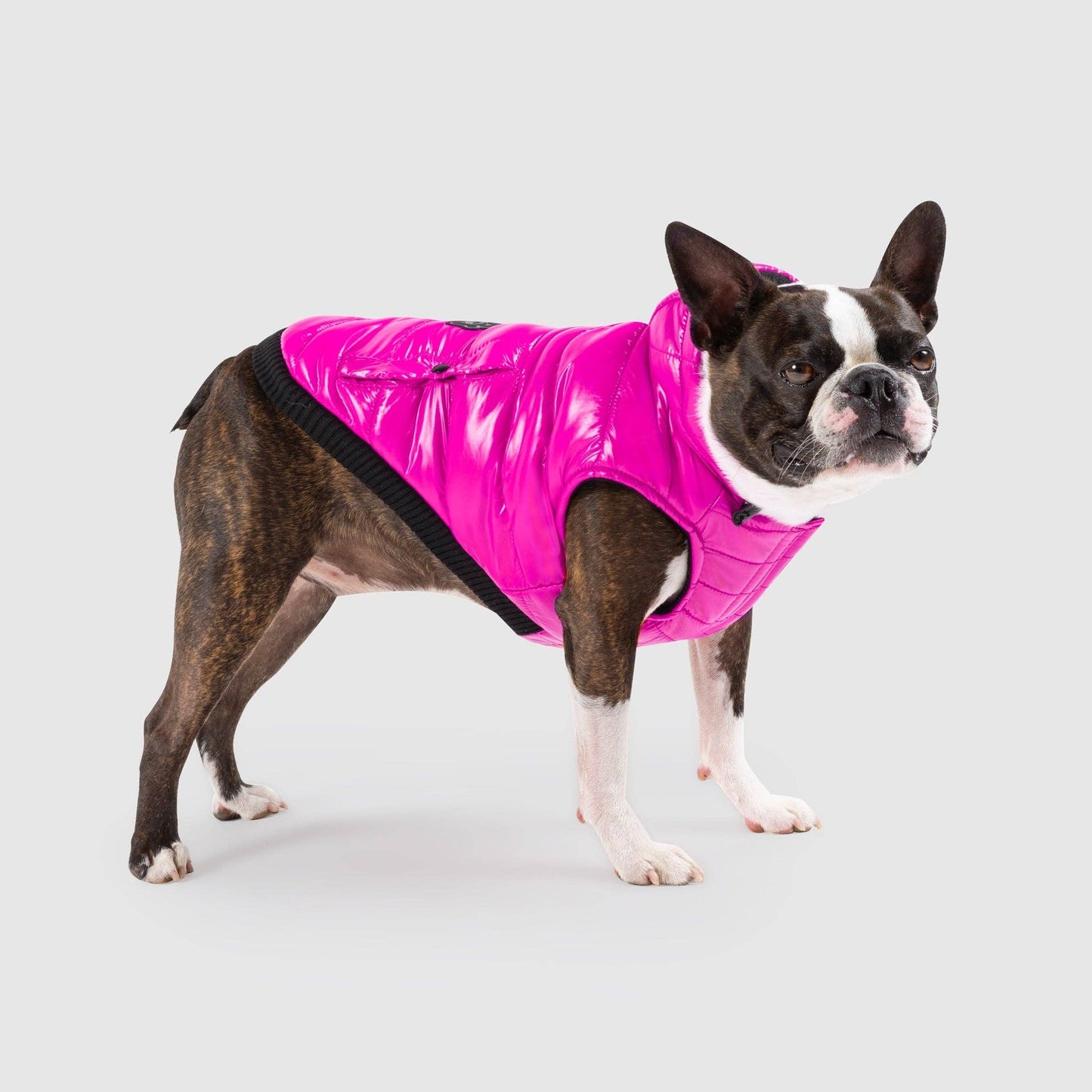 Shiny Puffer Vest- Dog Coat: Iridescent