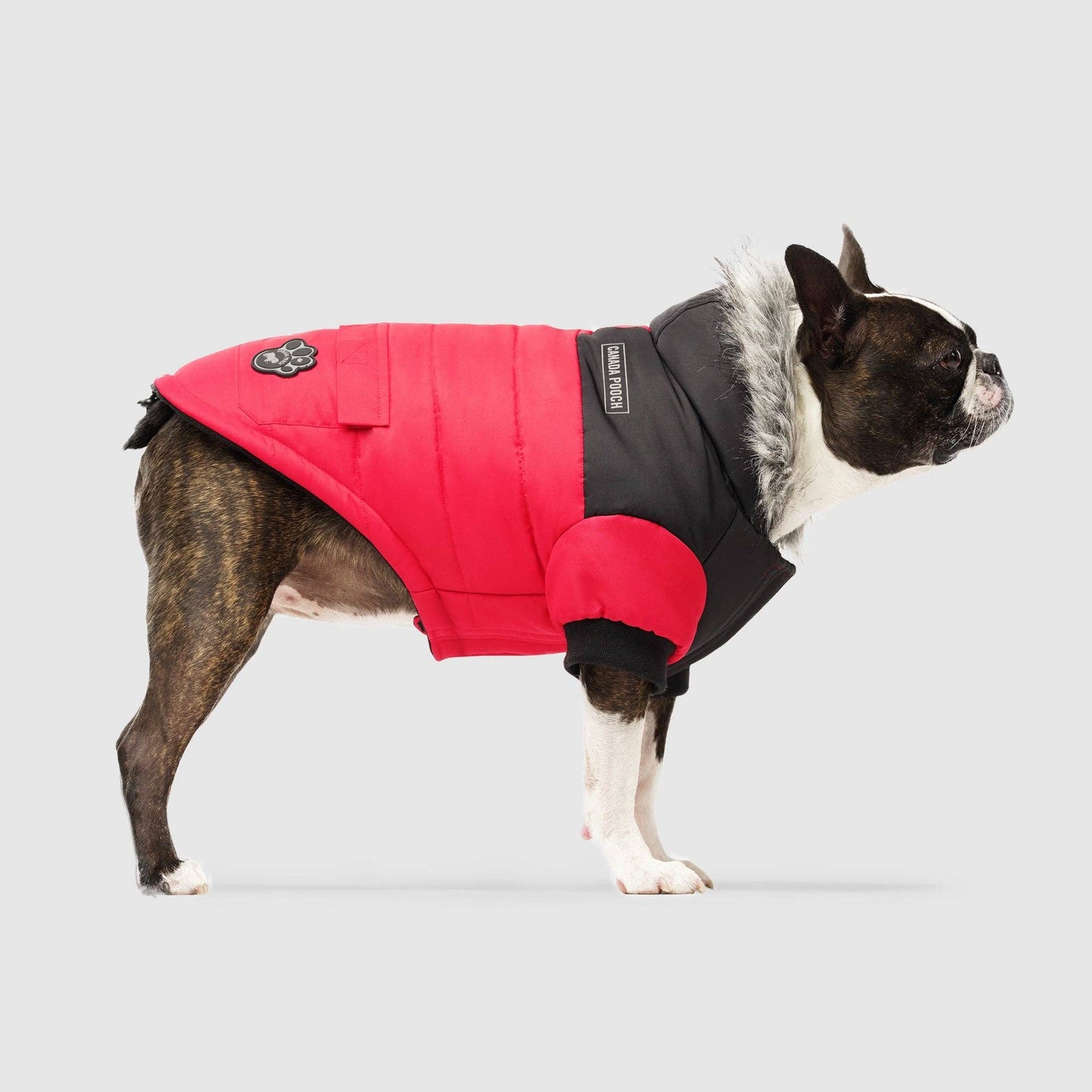 True North Dog Parka: Black / 18