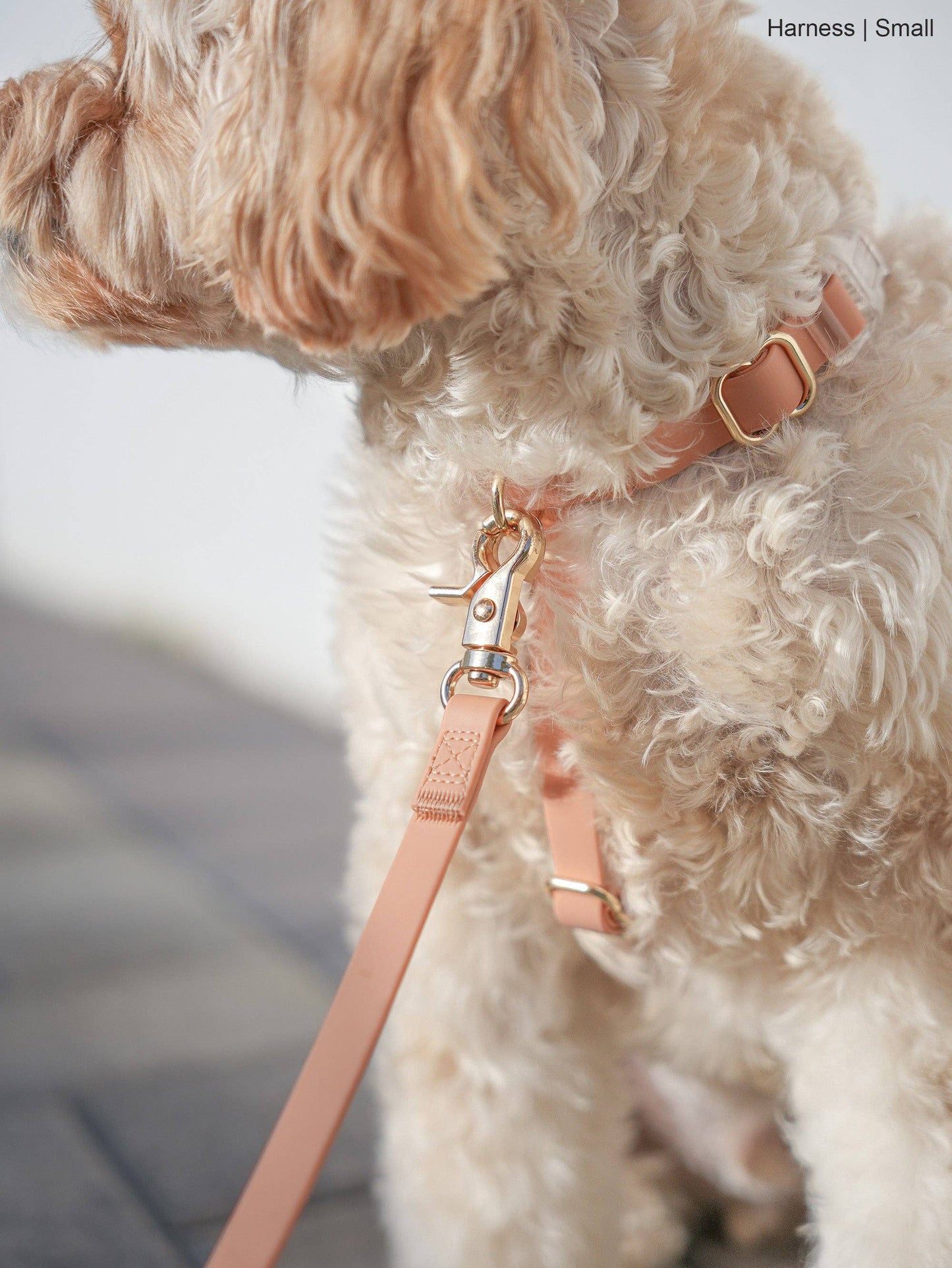 Chai Brown Cloud Lite Dog Harness