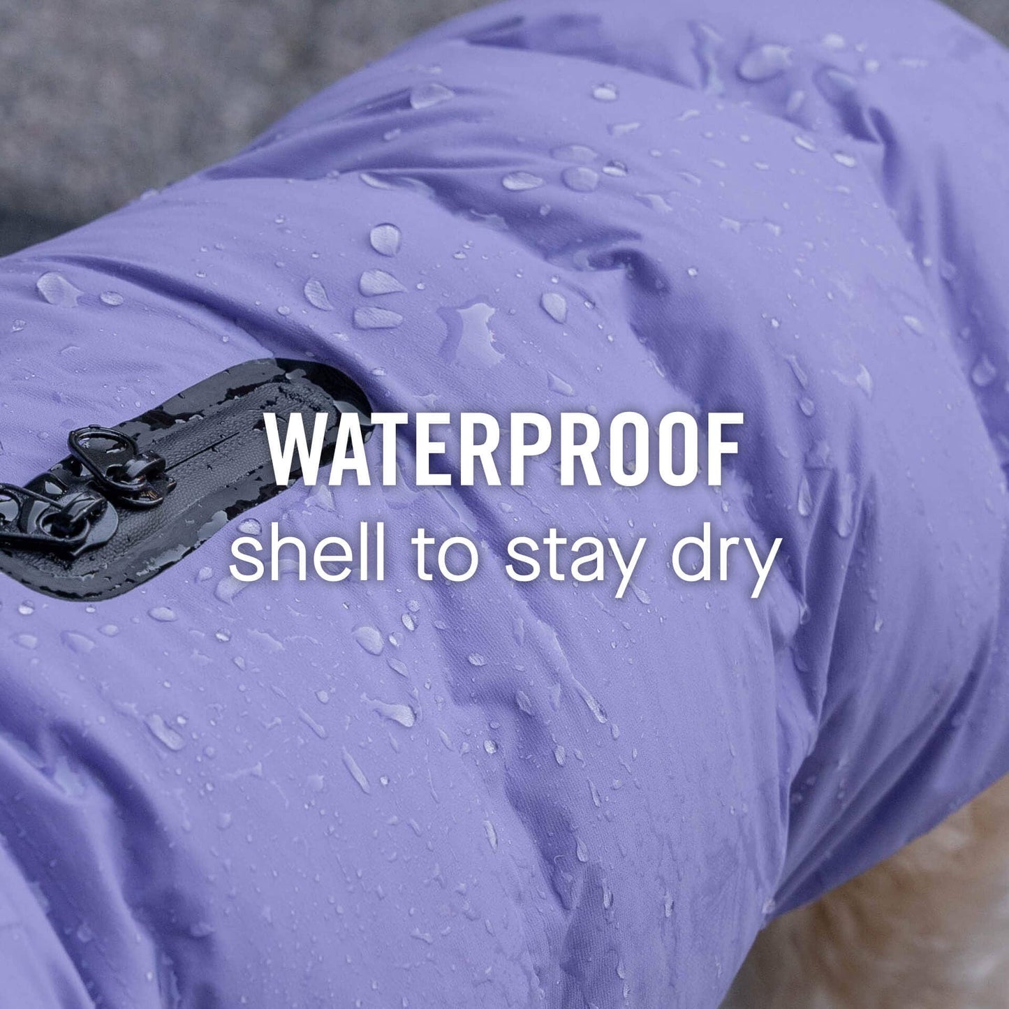Waterproof Dog Puffer