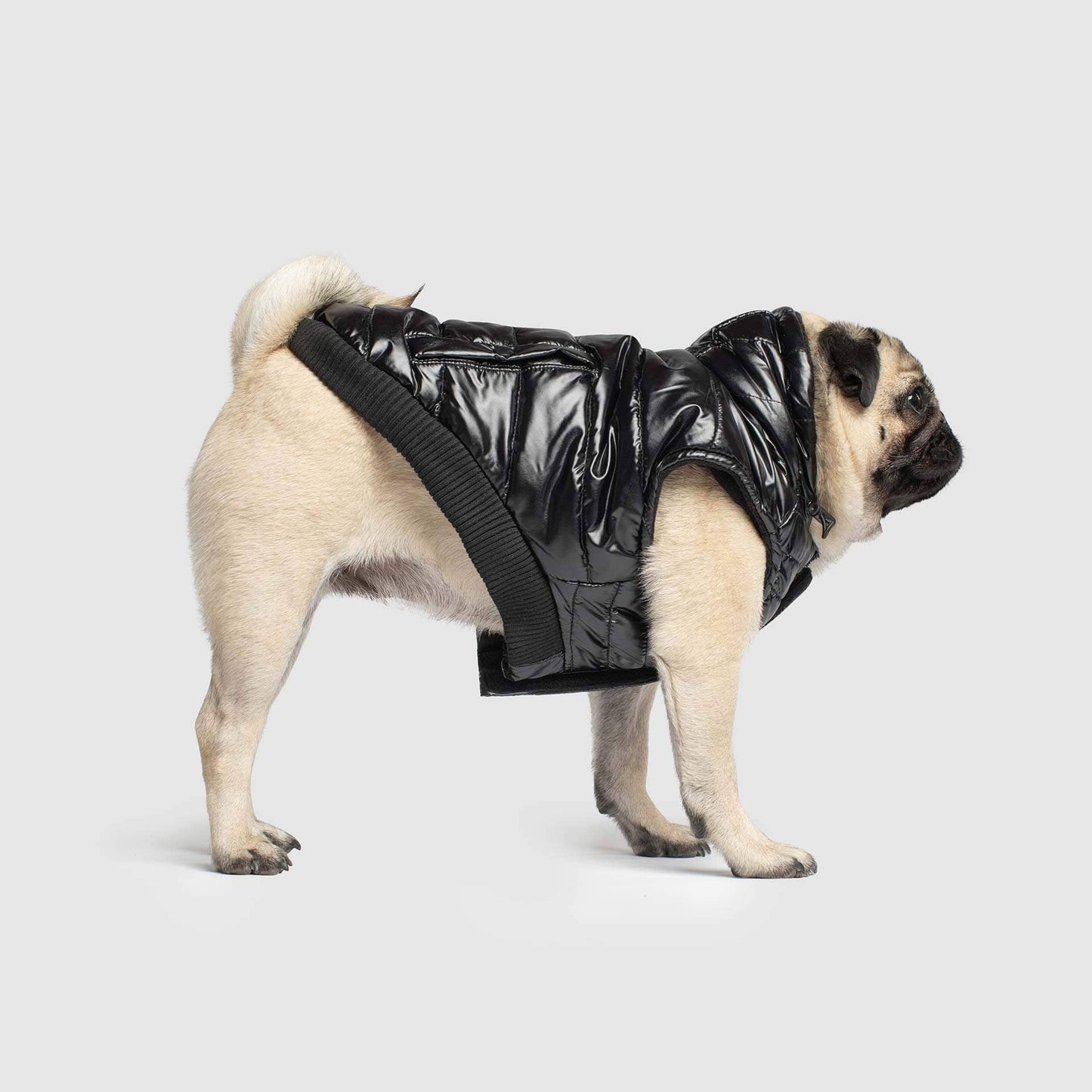 Shiny Puffer Vest- Dog Coat: Black