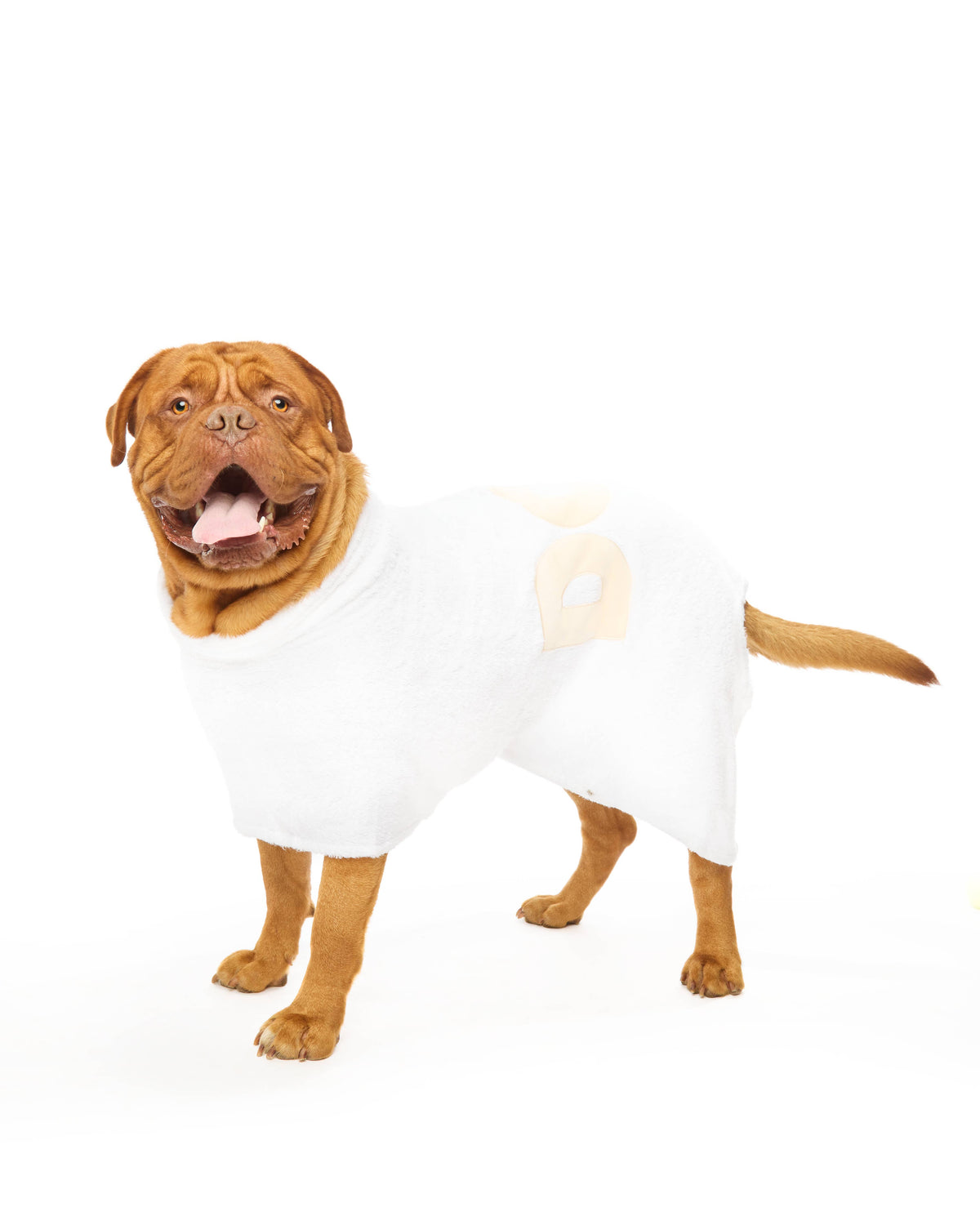 DOG Poncho: Blush