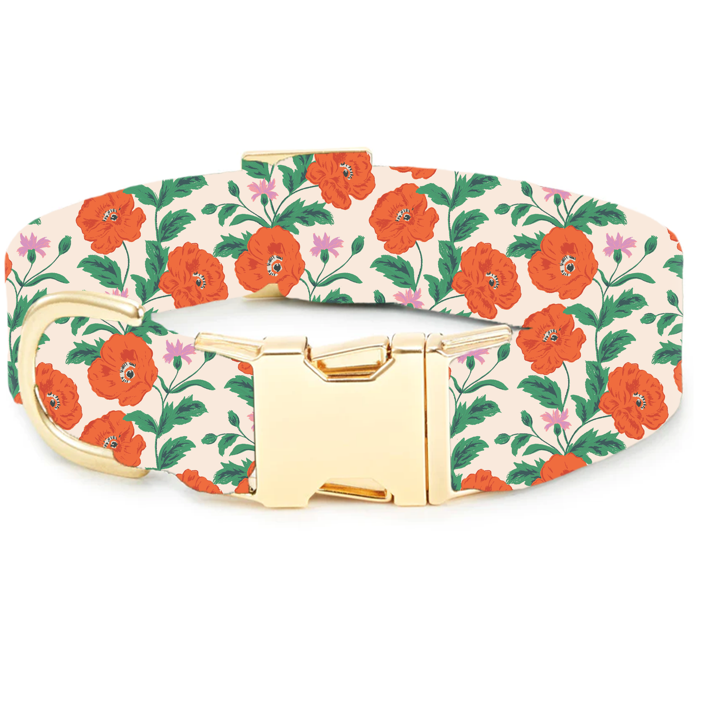 Golden Poppies Dog Collar
