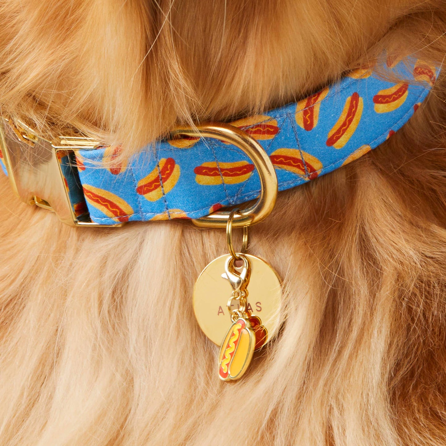 Hot Dog Collar Charm
