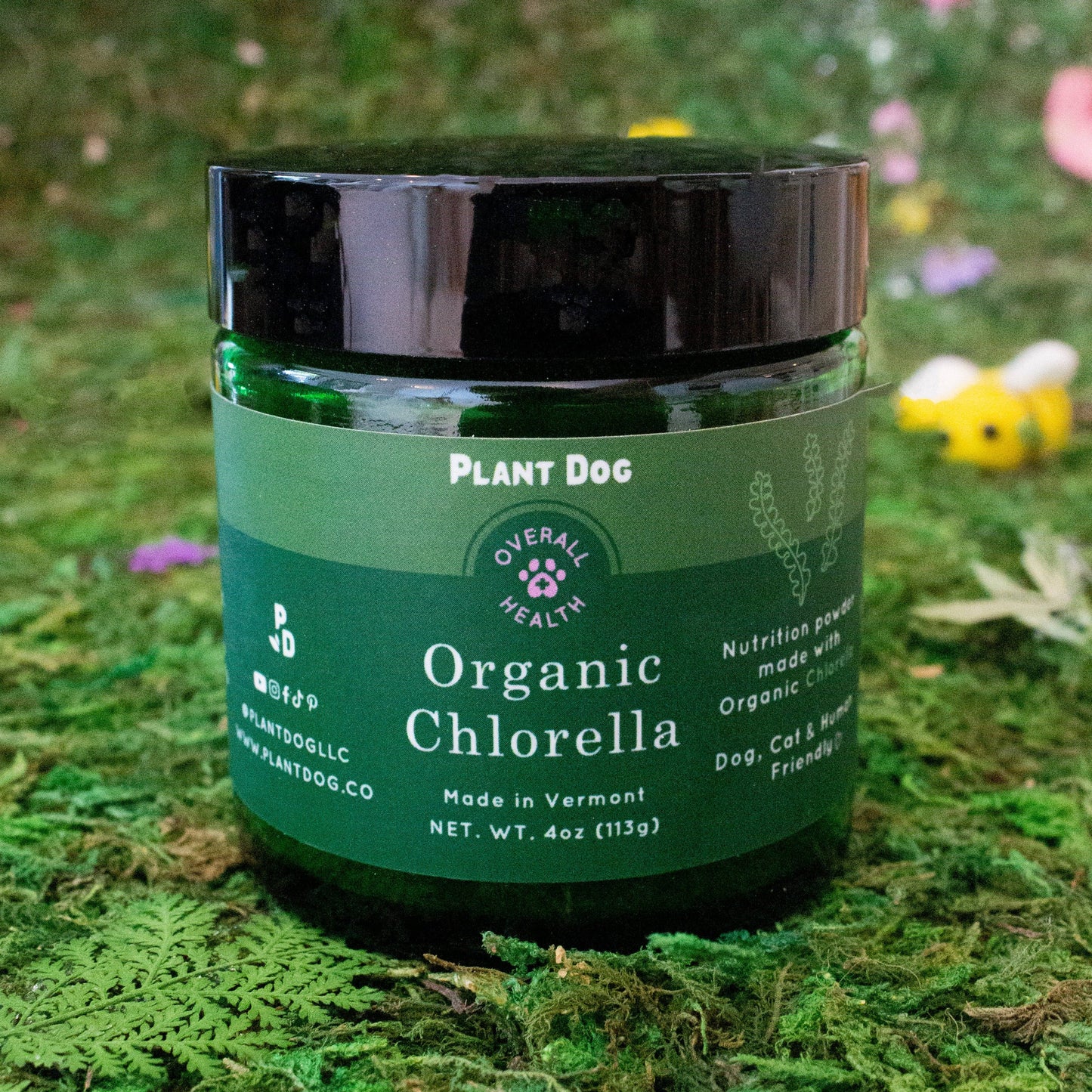 Chlorella Powder Supplement- Natural Immunity Boost
