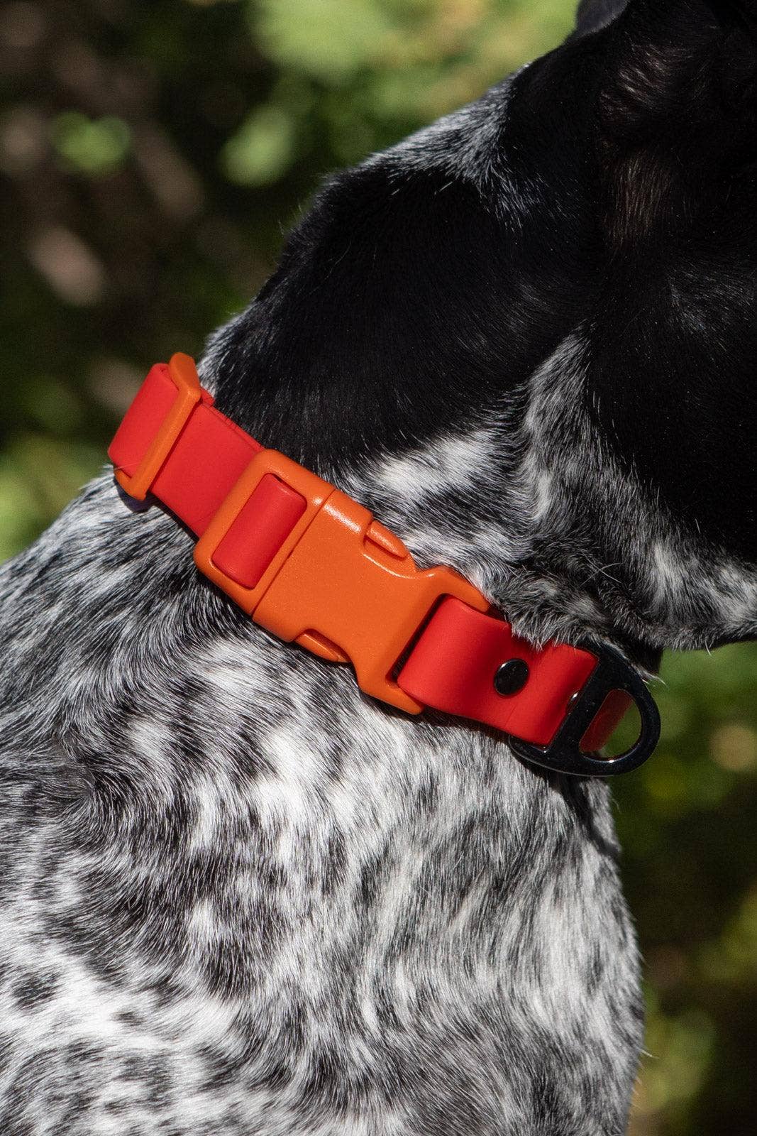 Scarlet Peaks Waterproof Dog Collar: Autumn Red / Flame Orange / 20 - 26