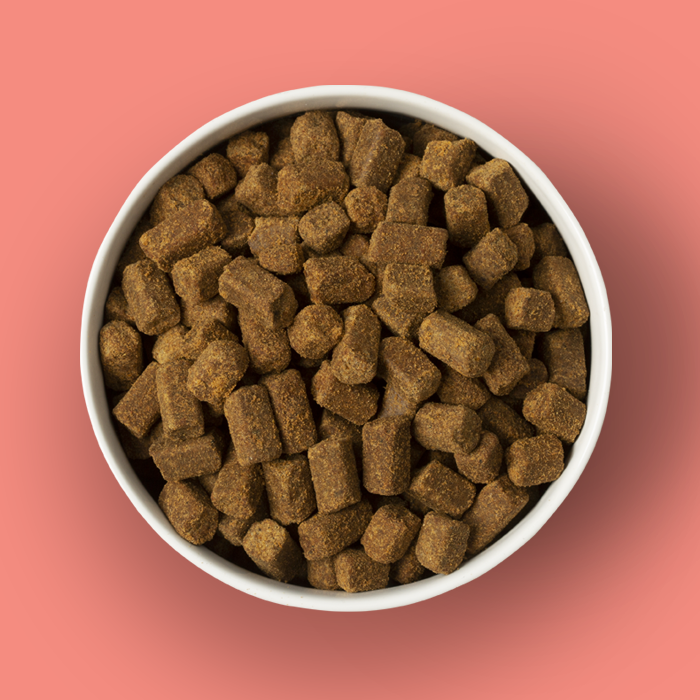 All-Natural Cold-Pressed Salmon Dog Food: 2 lb