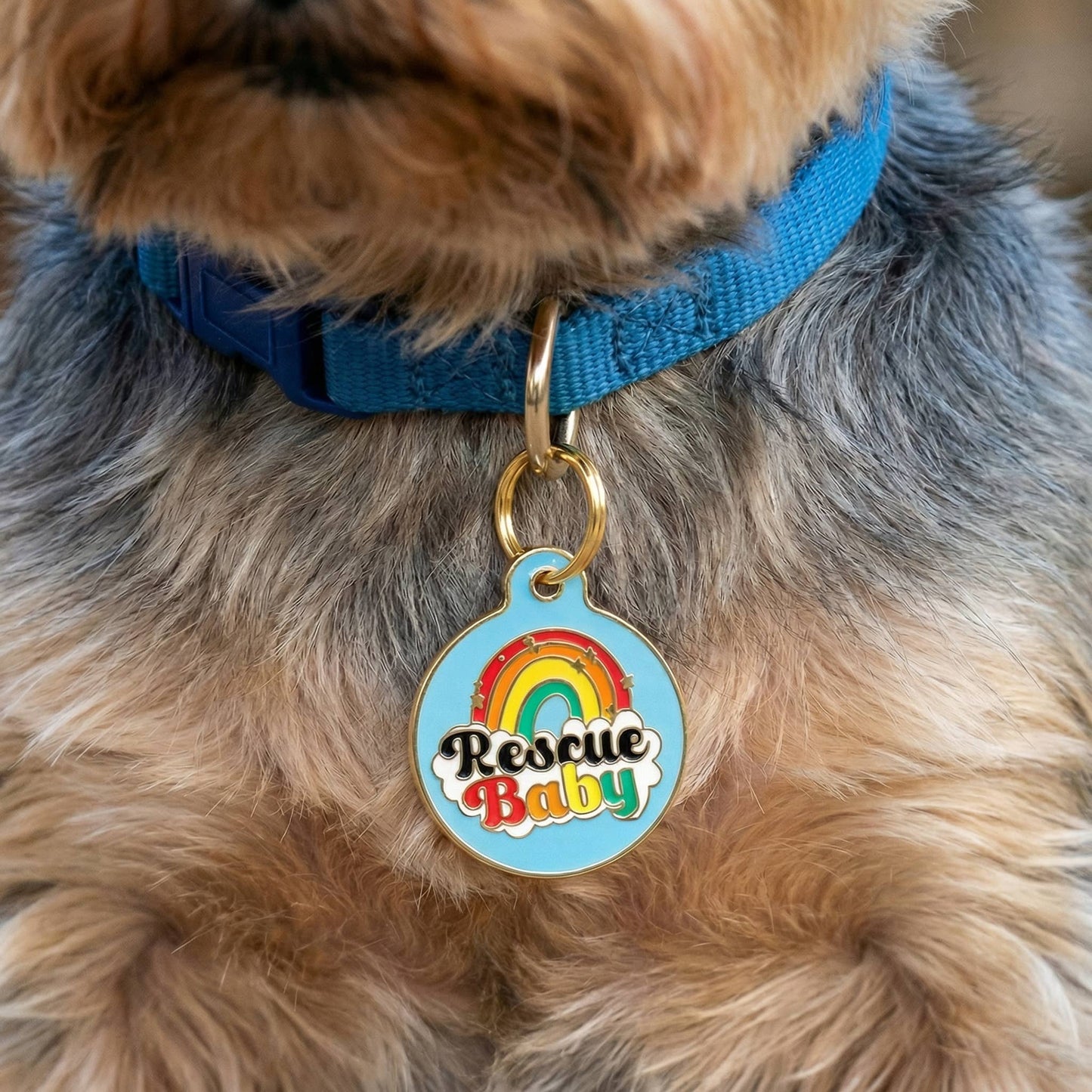 Cute Dog Collar Charm & Pet ID Tag - Rescue Baby *Blue: Small / Digital ID