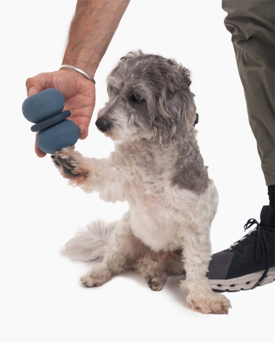 Armadillo Dog Toy