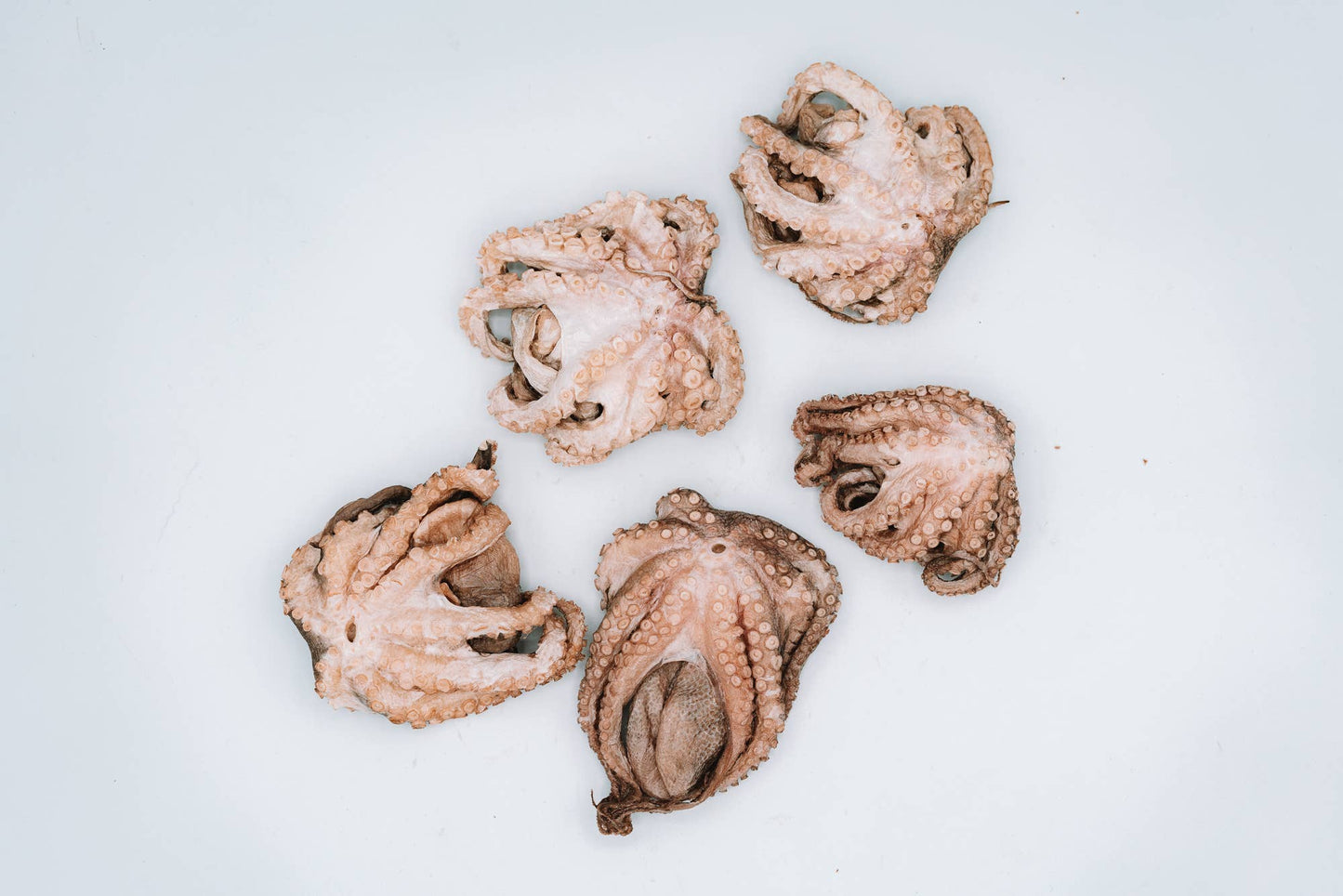 Freeze-Dried Octopuffs