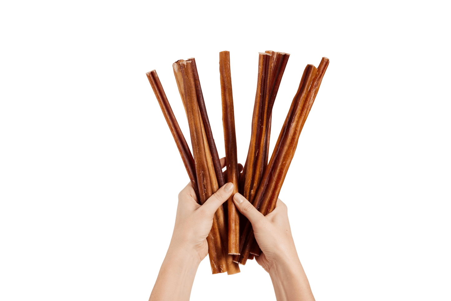 BullySafe Chews - BullySticks: Beef / 6-inch 5 pack