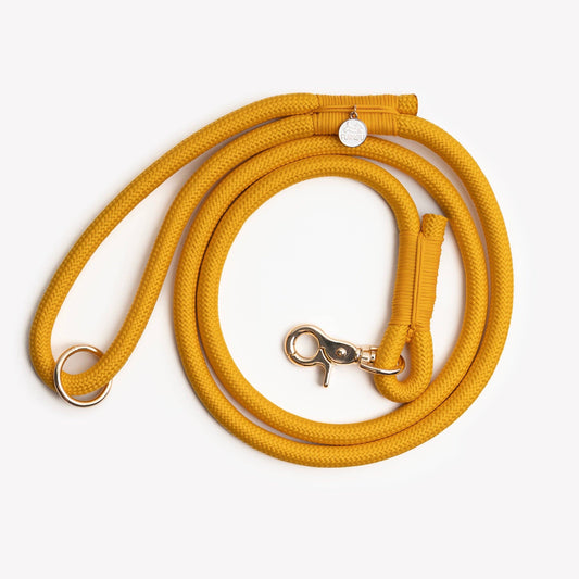 'Yellow' - Braided Rope Leash