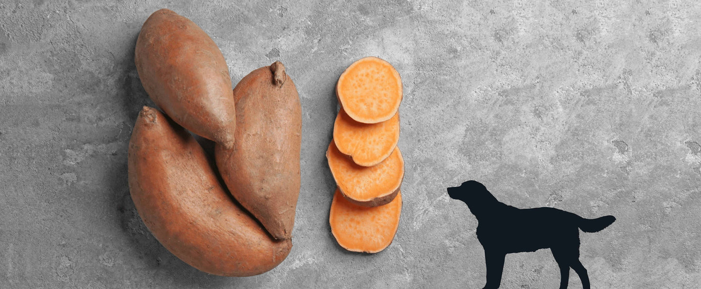 Sweet Potato Dog Chew
