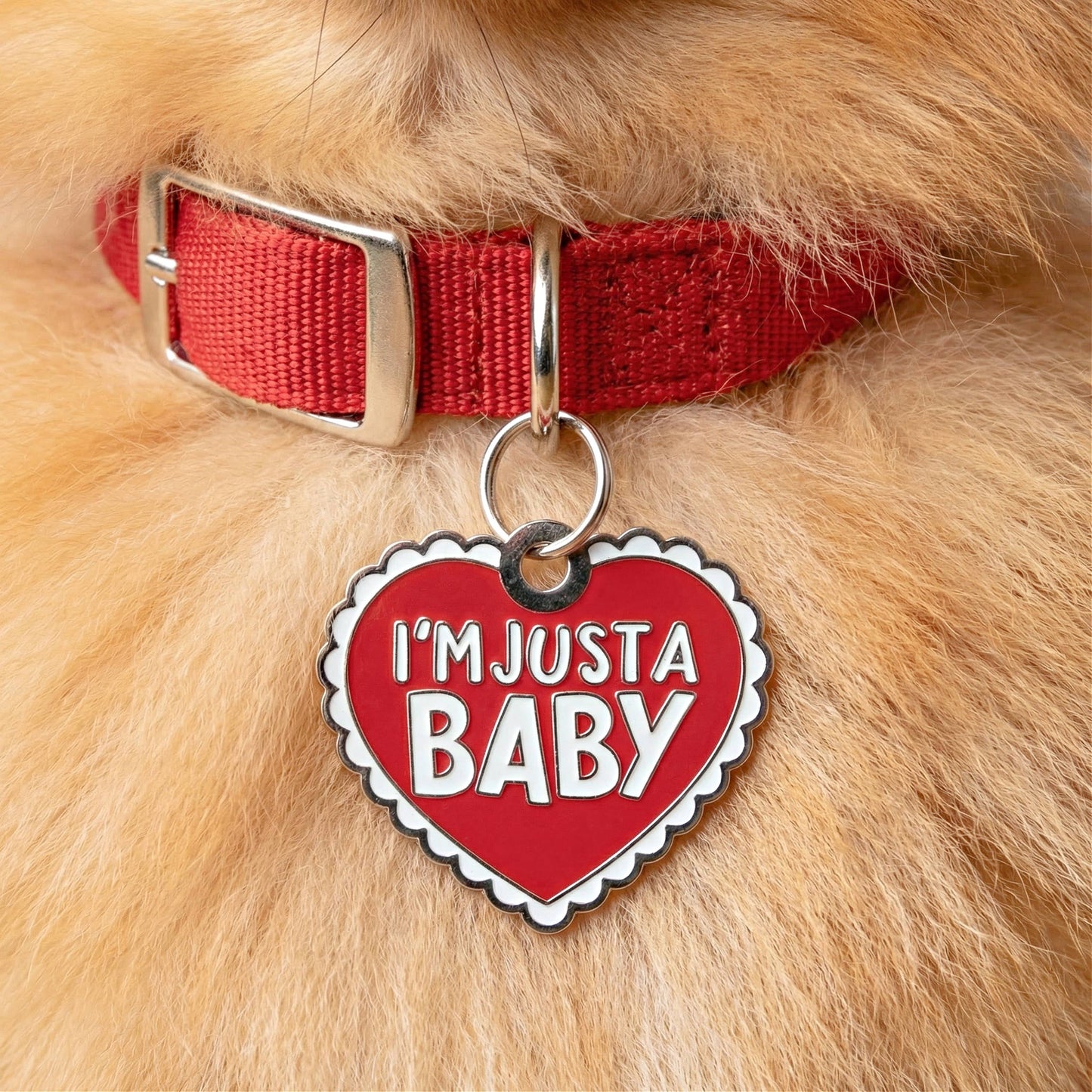 Cute Dog Charm & Pet ID Tag - I'm Just a Baby: XL / Engraved QR Code