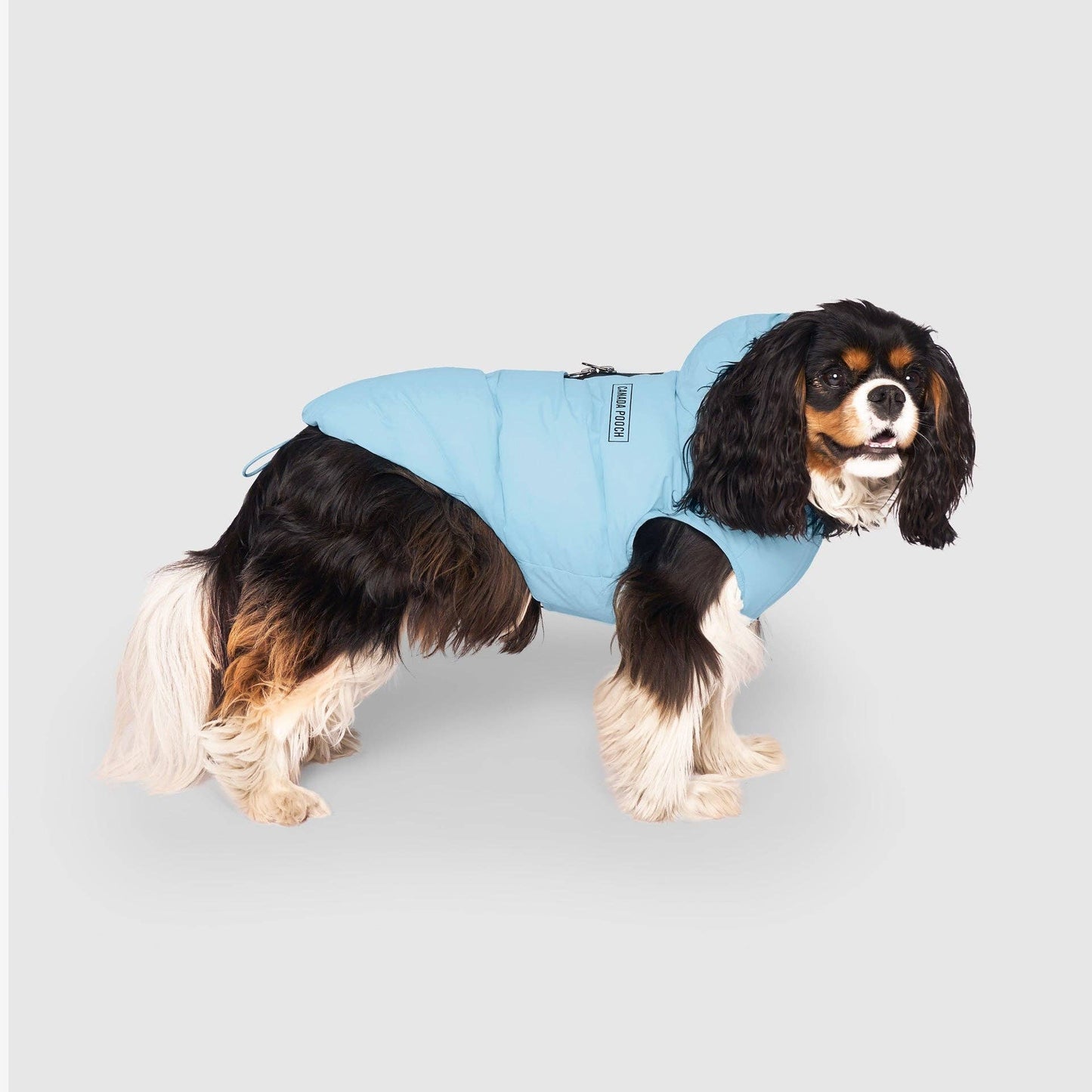 Waterproof Dog Puffer