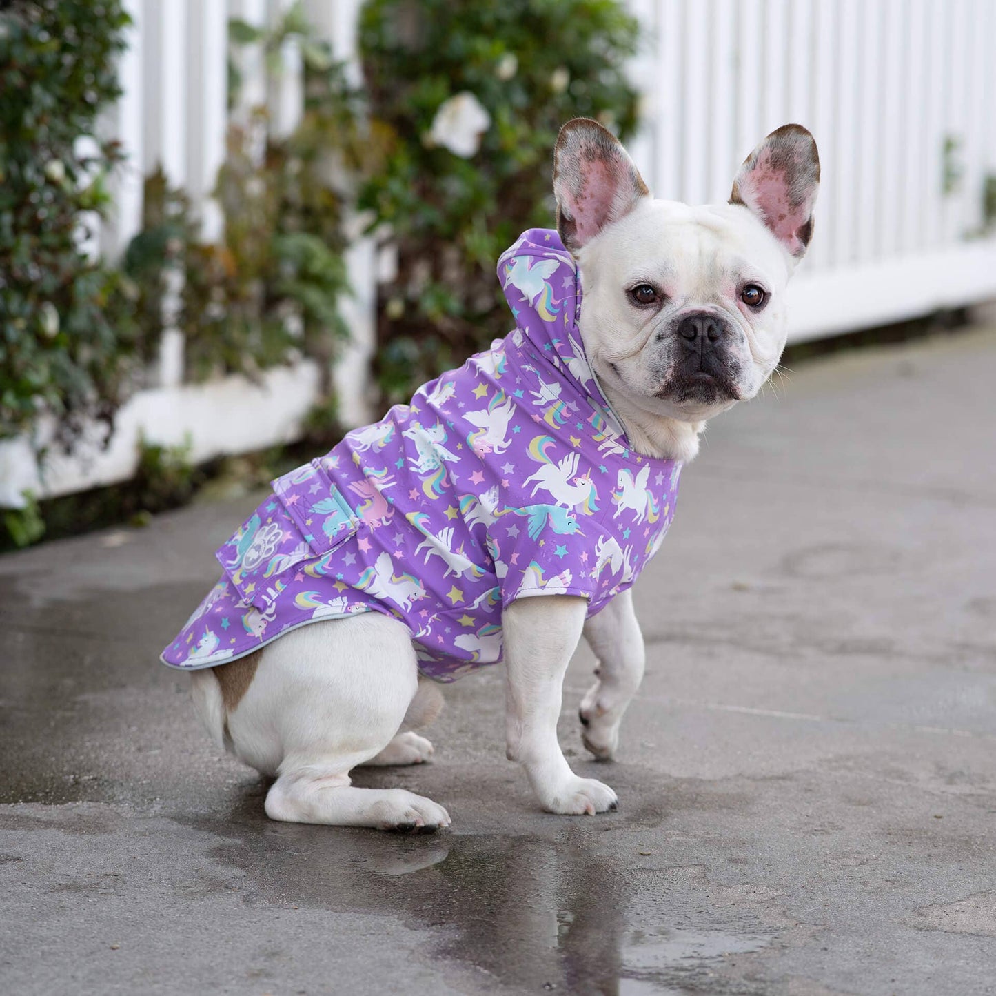 Torrential Tracker Dog Raincoat (Wet Reveal Unicorns): Wet Reveal Unicorns