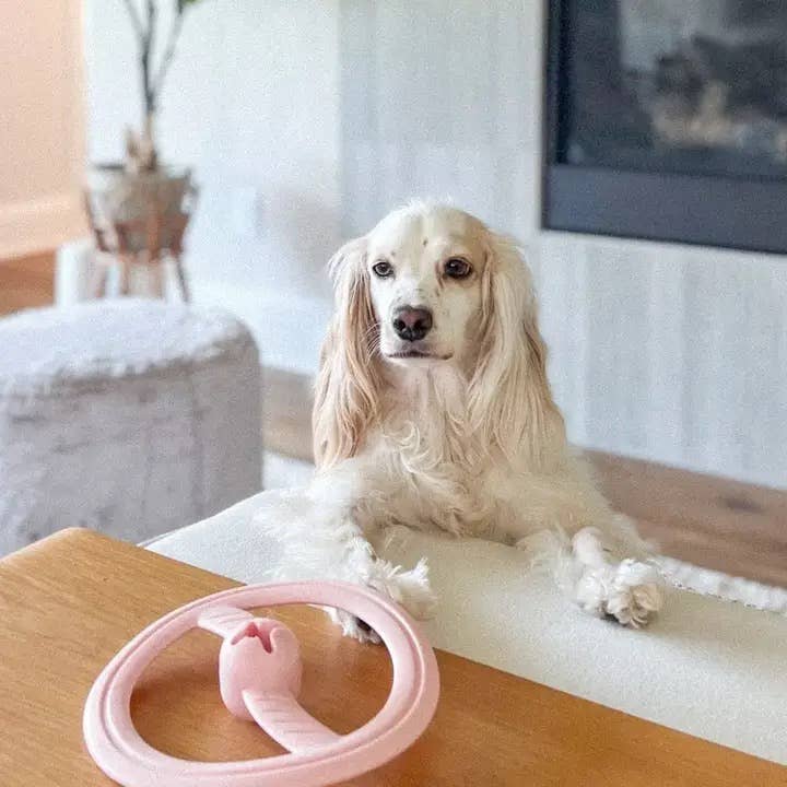 Fly Away Mint-Infused Dog Fetching & Interactive Toy: Pink