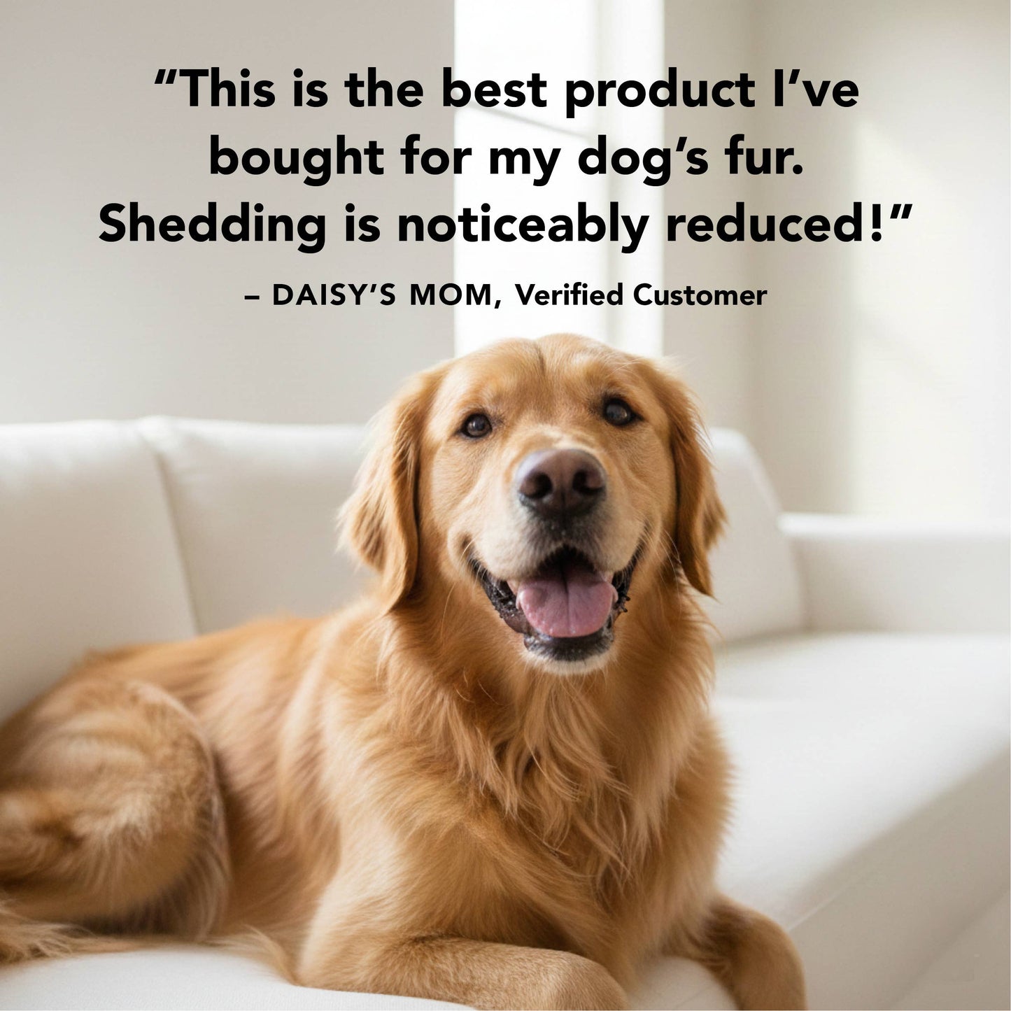 THE SHEDDER Shampoo, 12oz