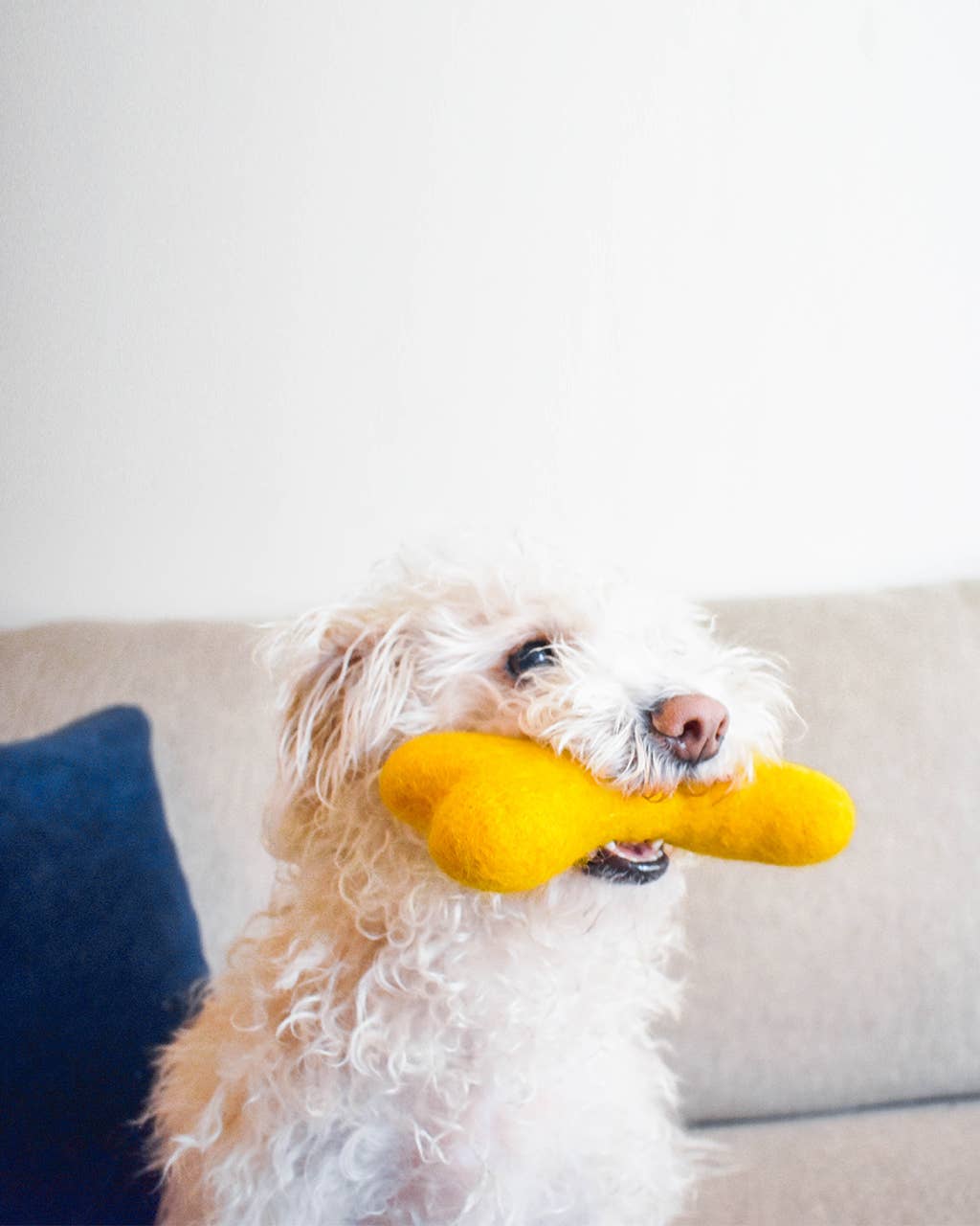 MB WOOLBONE Wool Dog Toy: Moss / L
