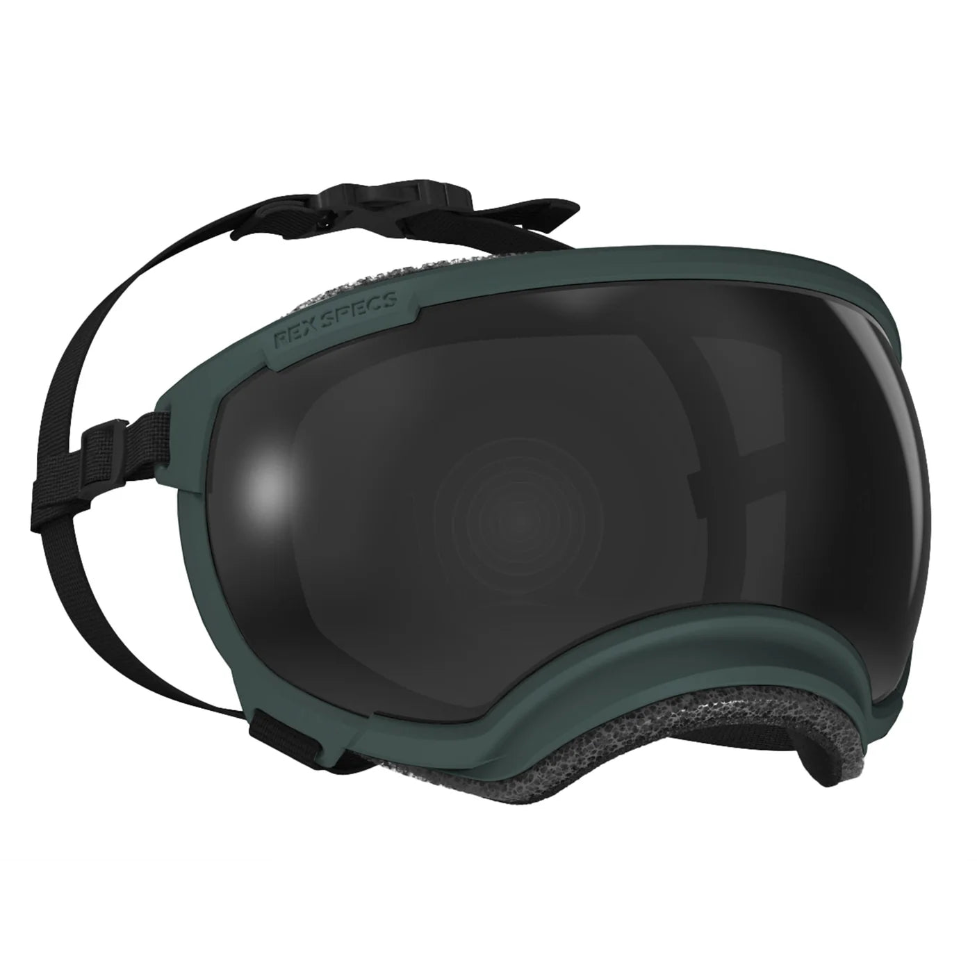 Goggles for Dogs - V2