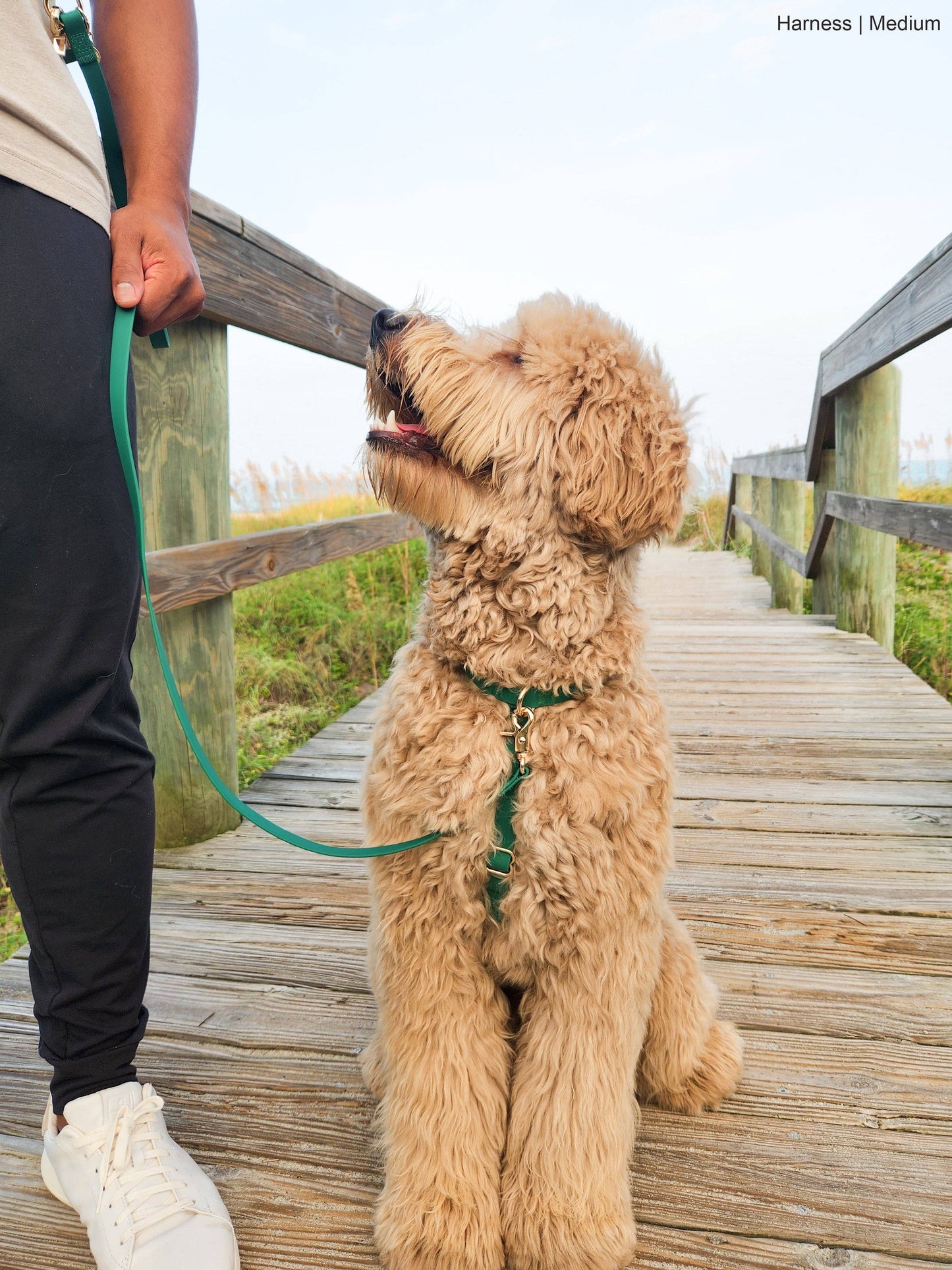 Meadow Green Cloud Lite Dog Harness