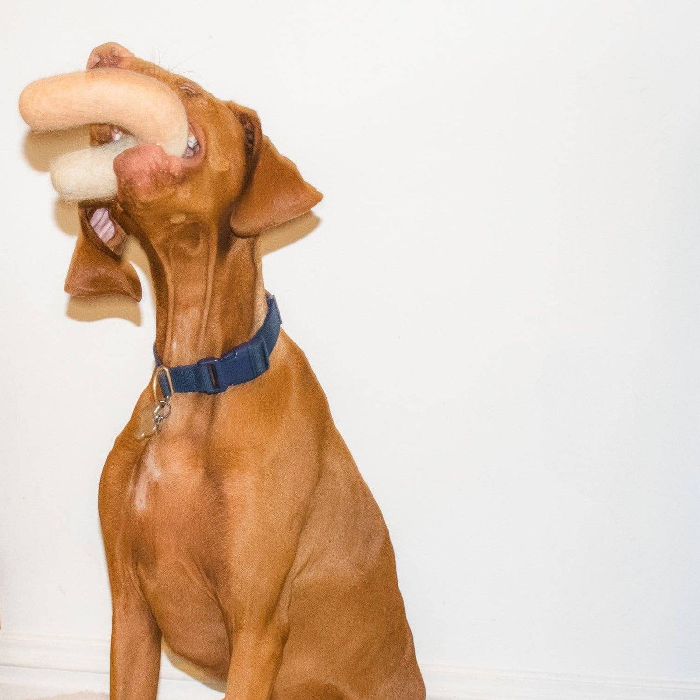 Archie Felt Toy