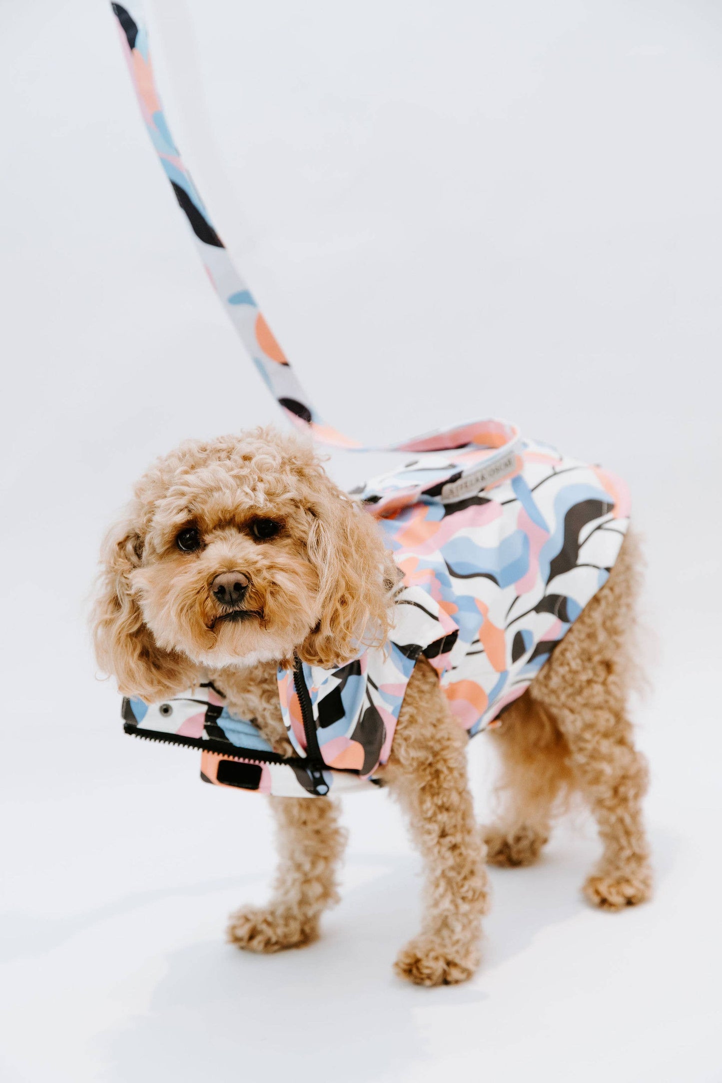 Leaf Dog Rain Jacket