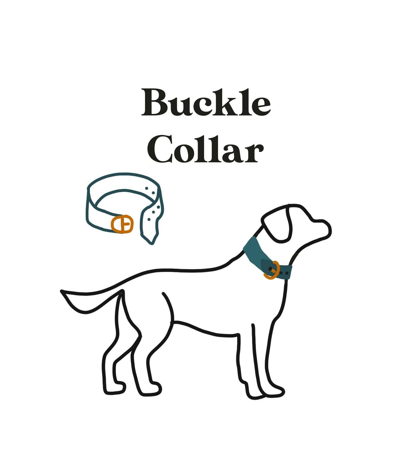 Fi Compatible Collar: 3/4"