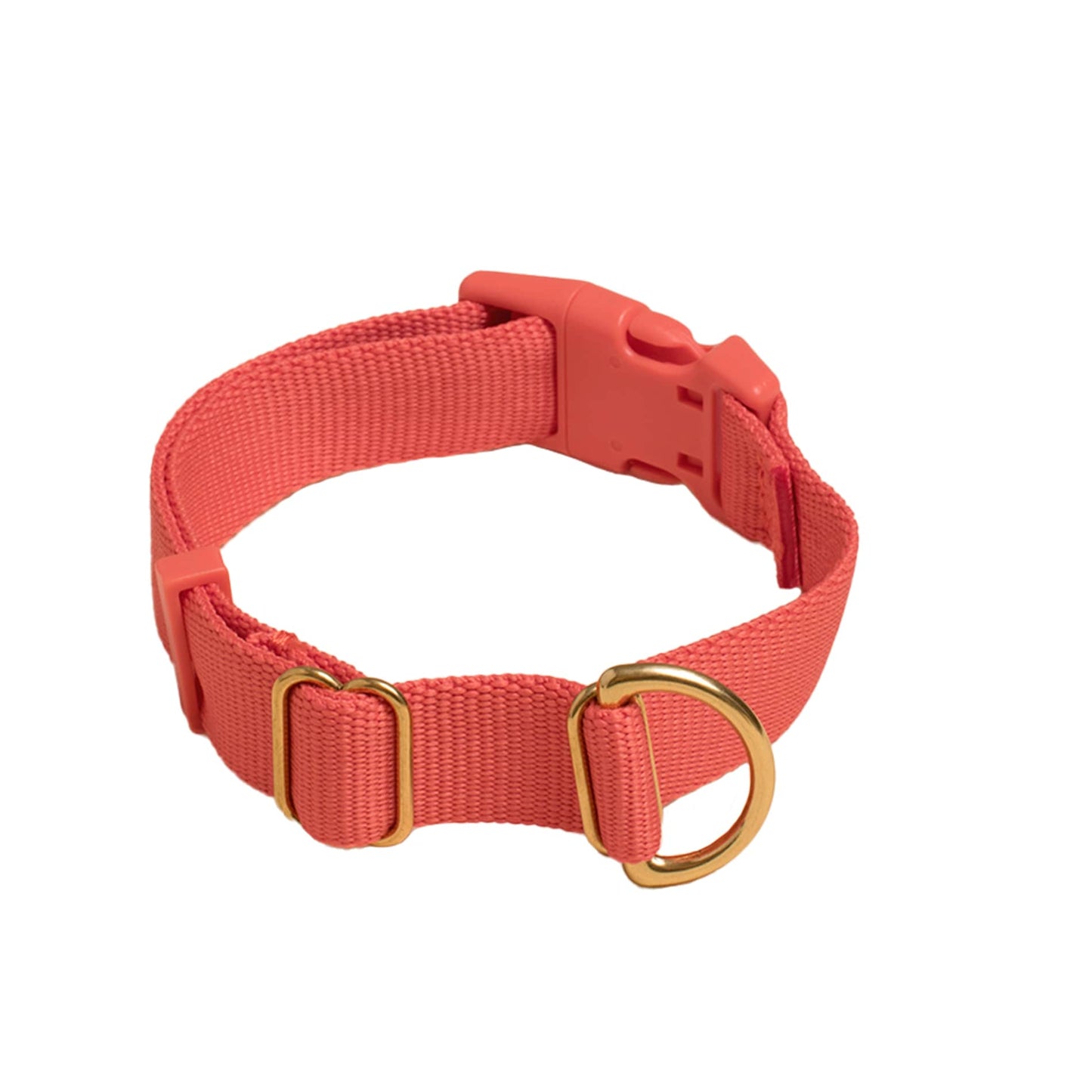 Pack Collar: PINE