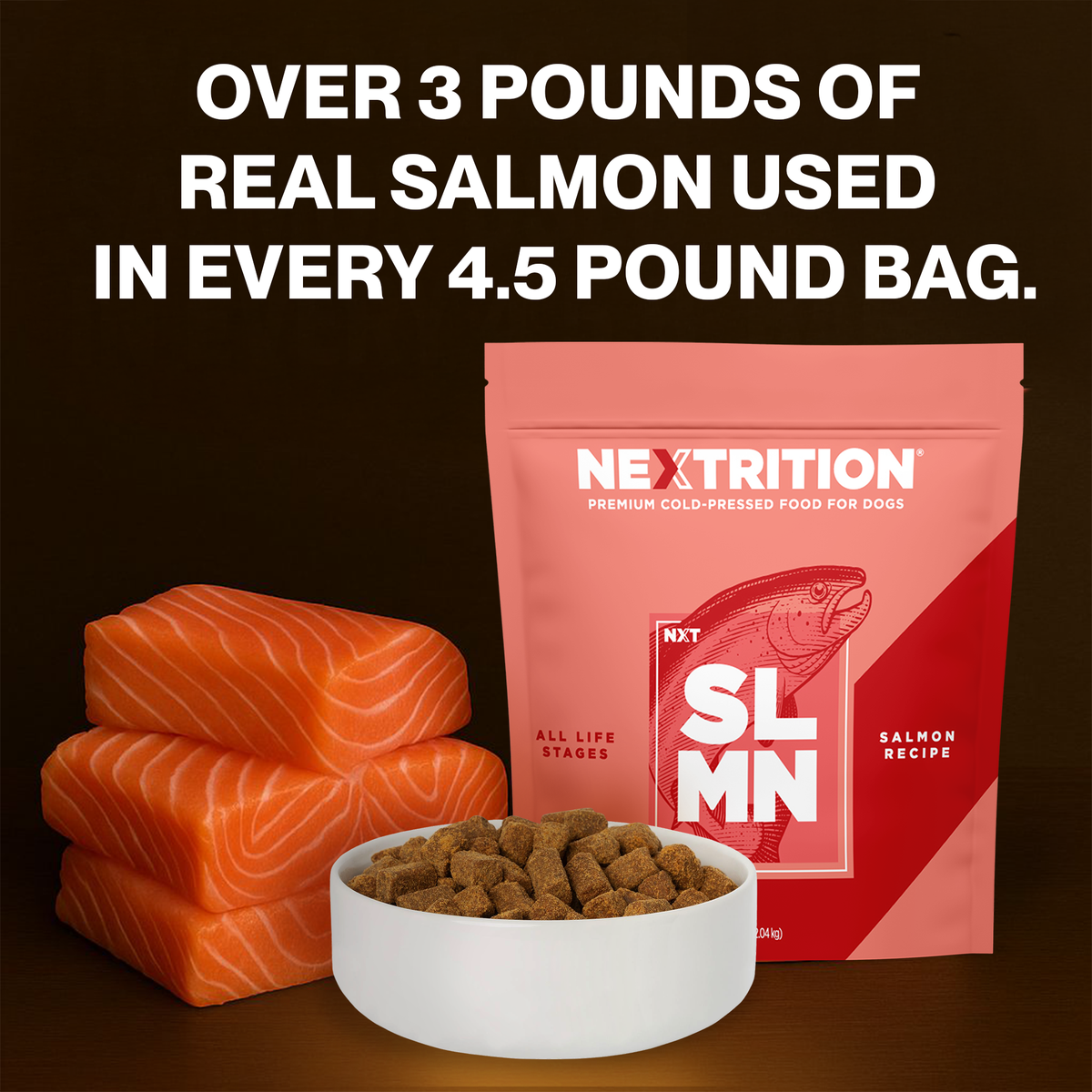 All-Natural Cold-Pressed Salmon Dog Food: 2 lb