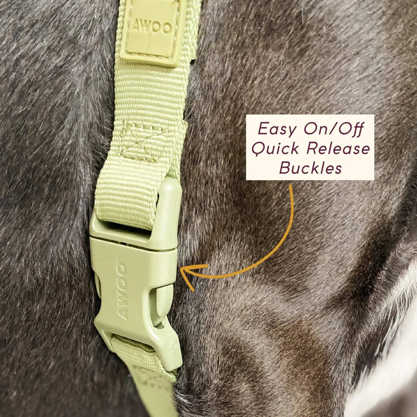 Roam Harness: BLACK / Large