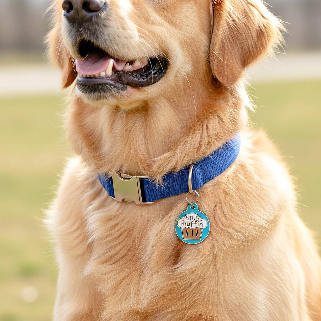 Pet ID Dog Tag Charm - Stud Muffin