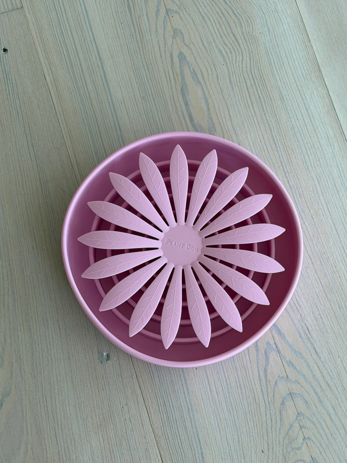 Flower Slow Feeder: Pink