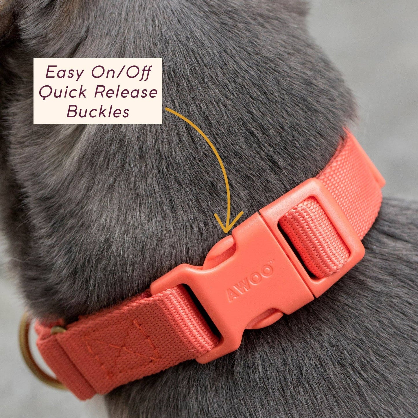 Marty Collar: NAVY