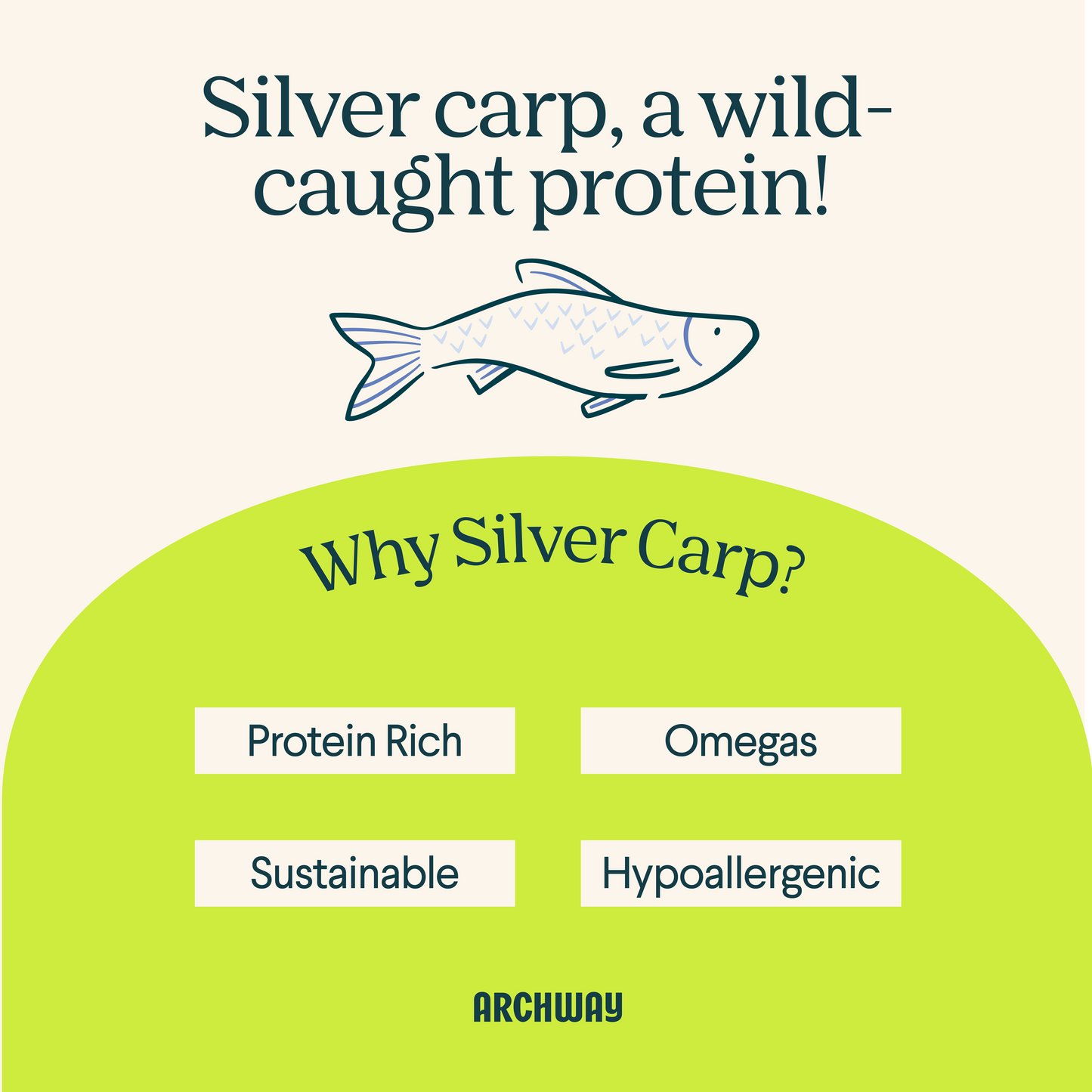 Wild-Caught Fish and Sweet Potato Dog Treat