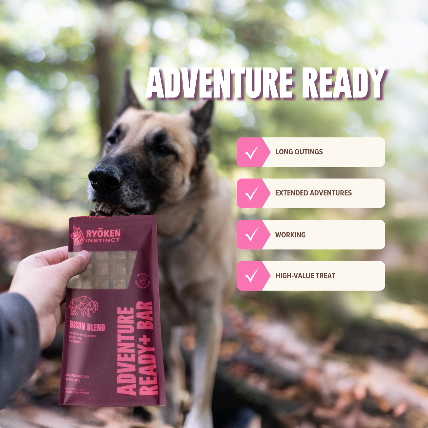 Bison Treat & Snack Bar for Active Dogs - Energy & Recovery