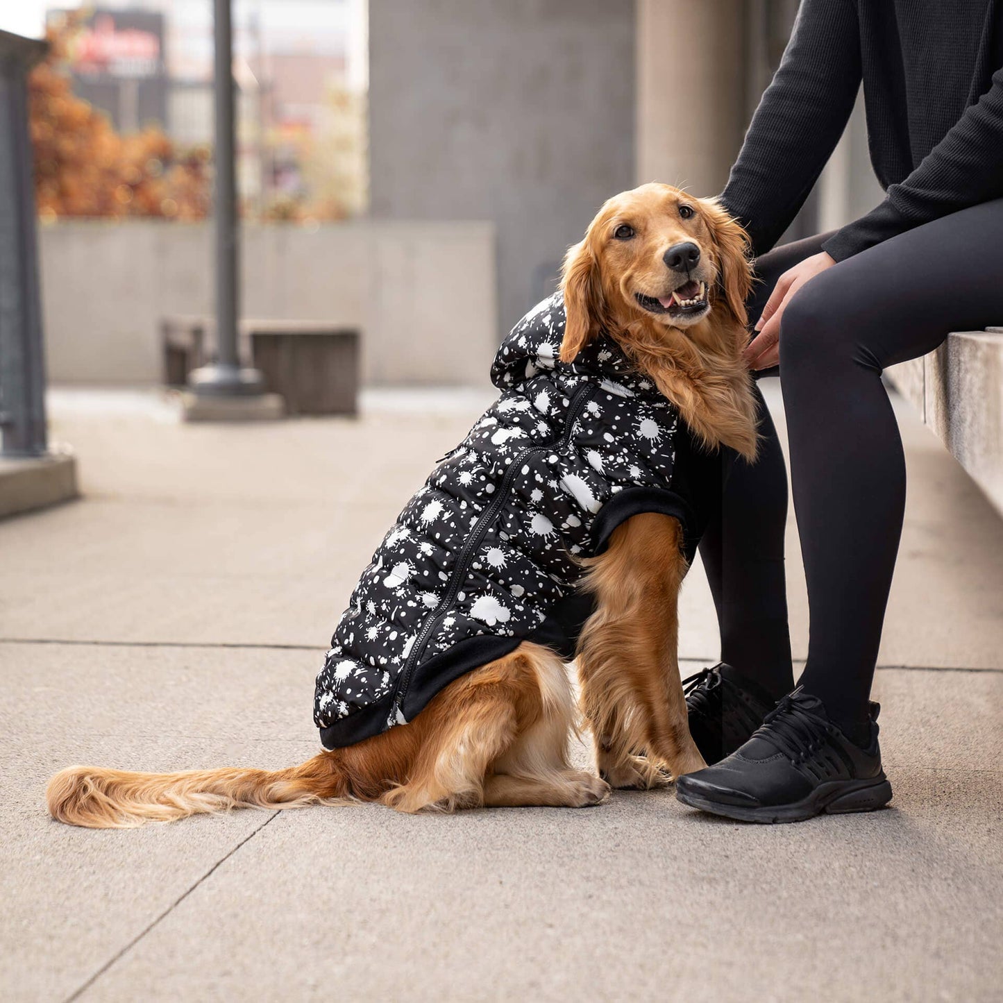 Prism Puffer- Dog Coat: Pink Houndstooth / 24