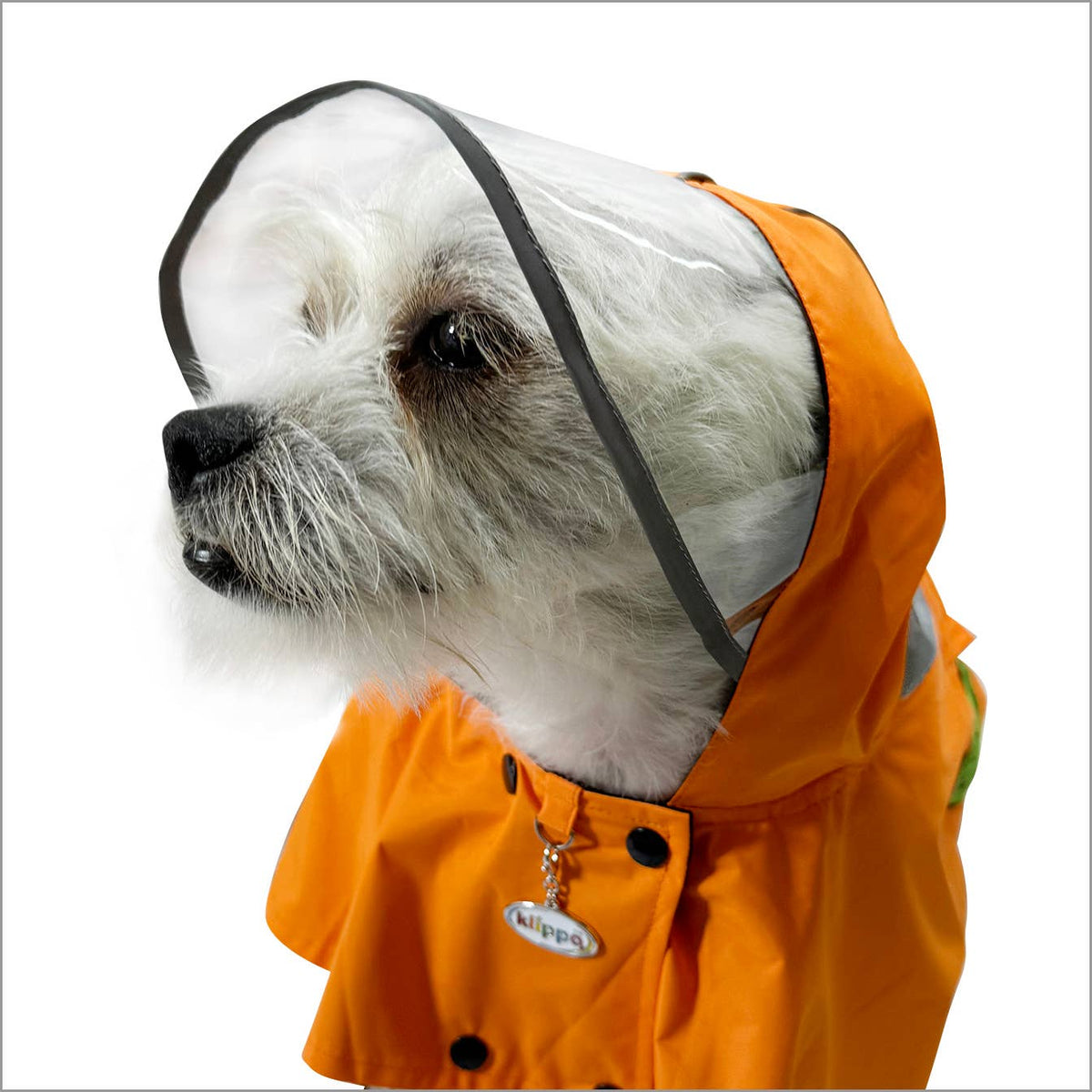Clear View Poncho Raincoat: Small