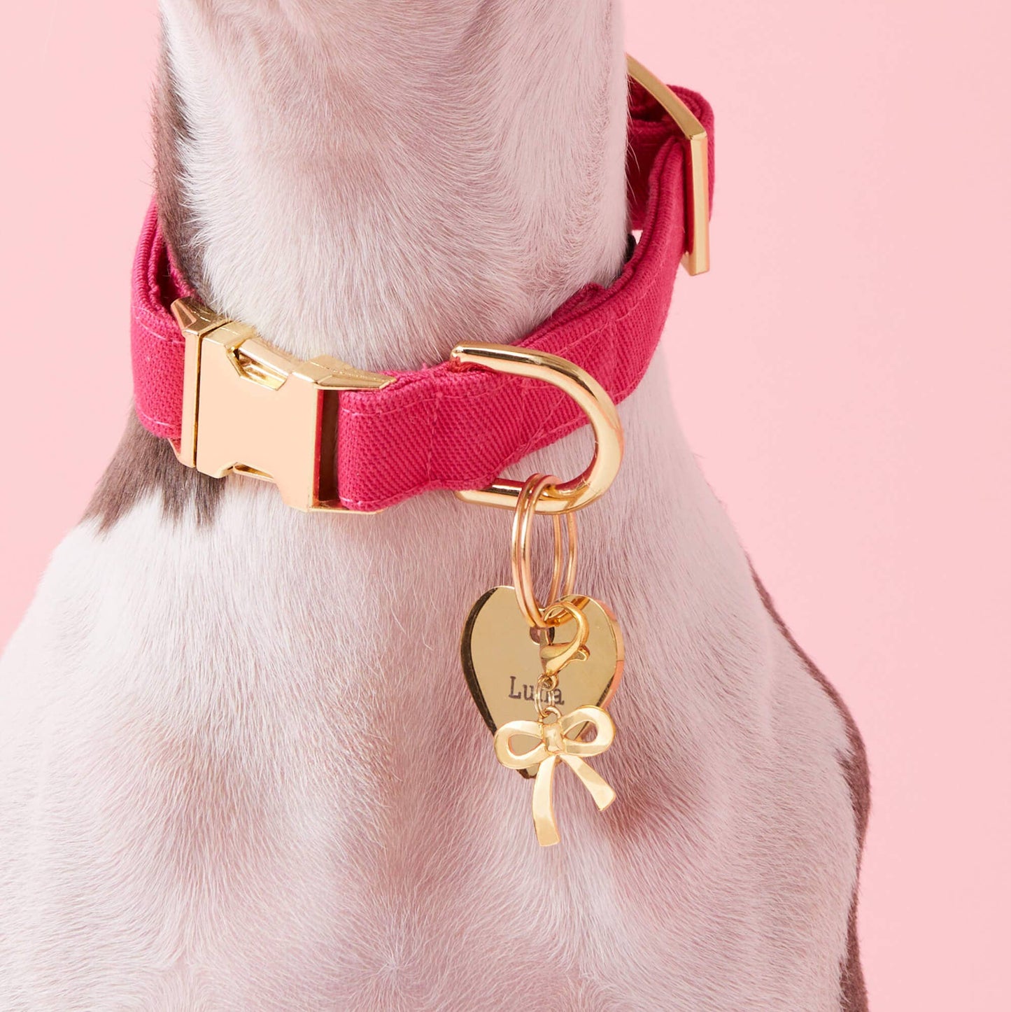 Gold Bow Collar Charm: Charm Only