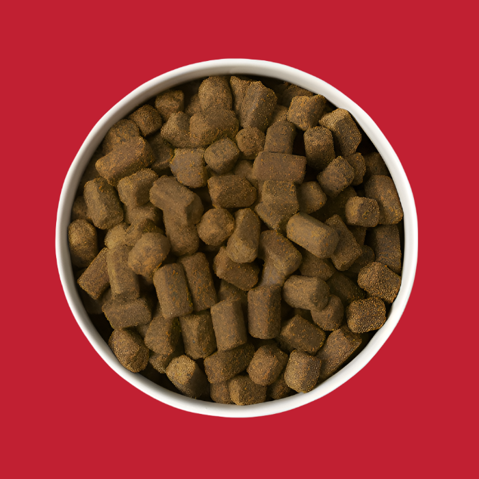 All-Natural Cold-Pressed Beef Dog Food: 2 lb