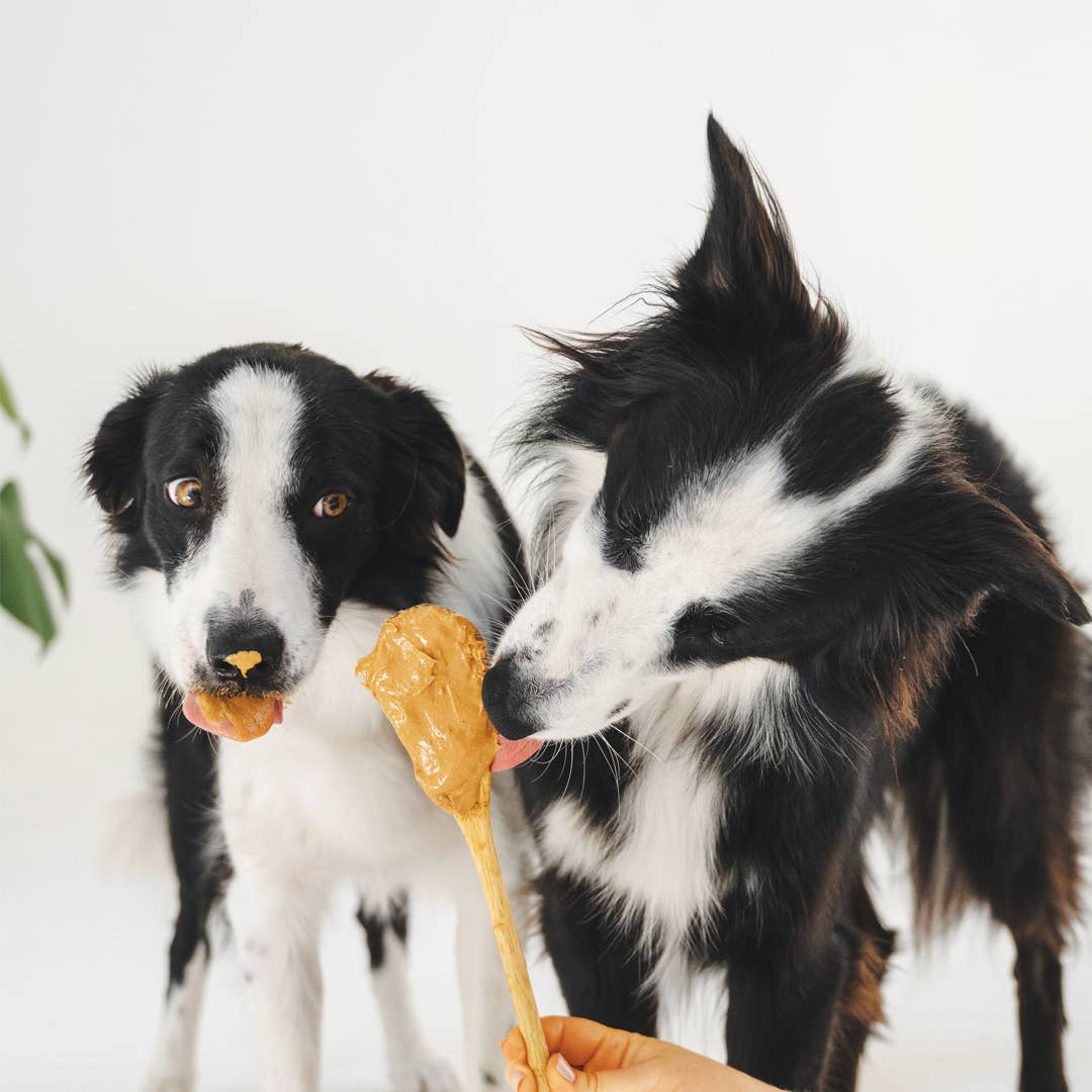 Brain Booster Dog Treats (200g)