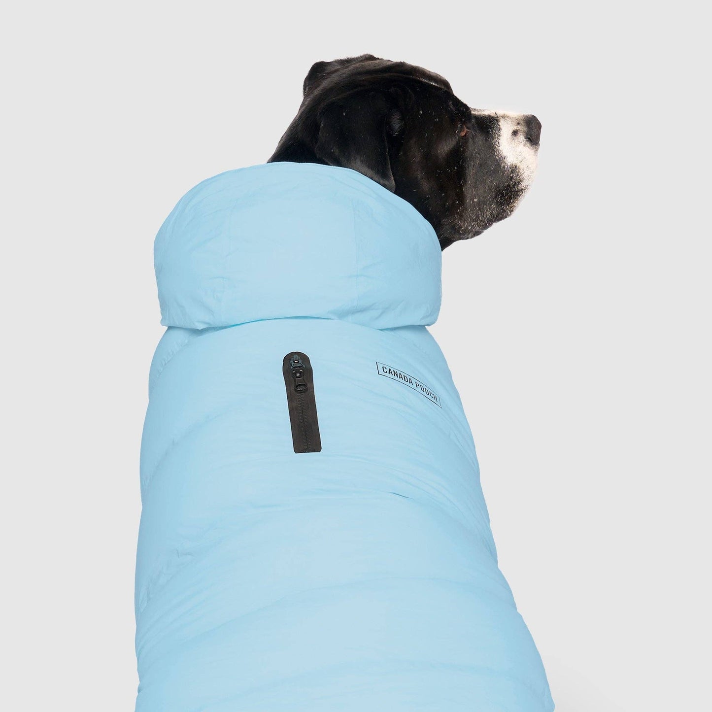 Waterproof Dog Puffer